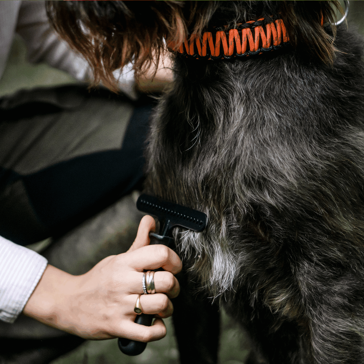 Hundekratzer - Stahl beschichtet, 1-reihig
