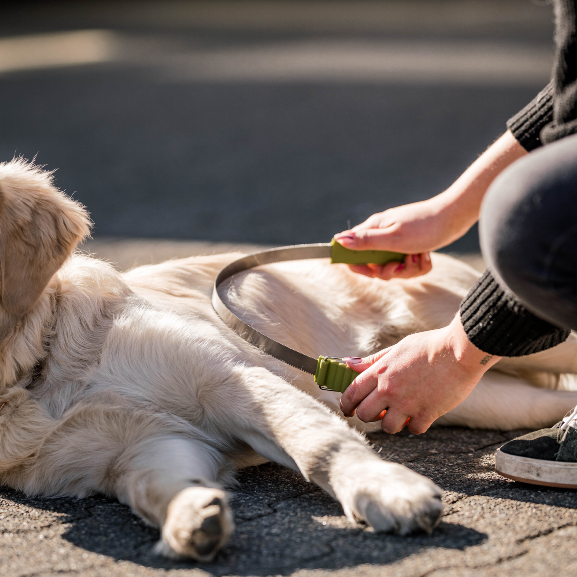 Safari® Doppelseitige Unterwollharke Hunde