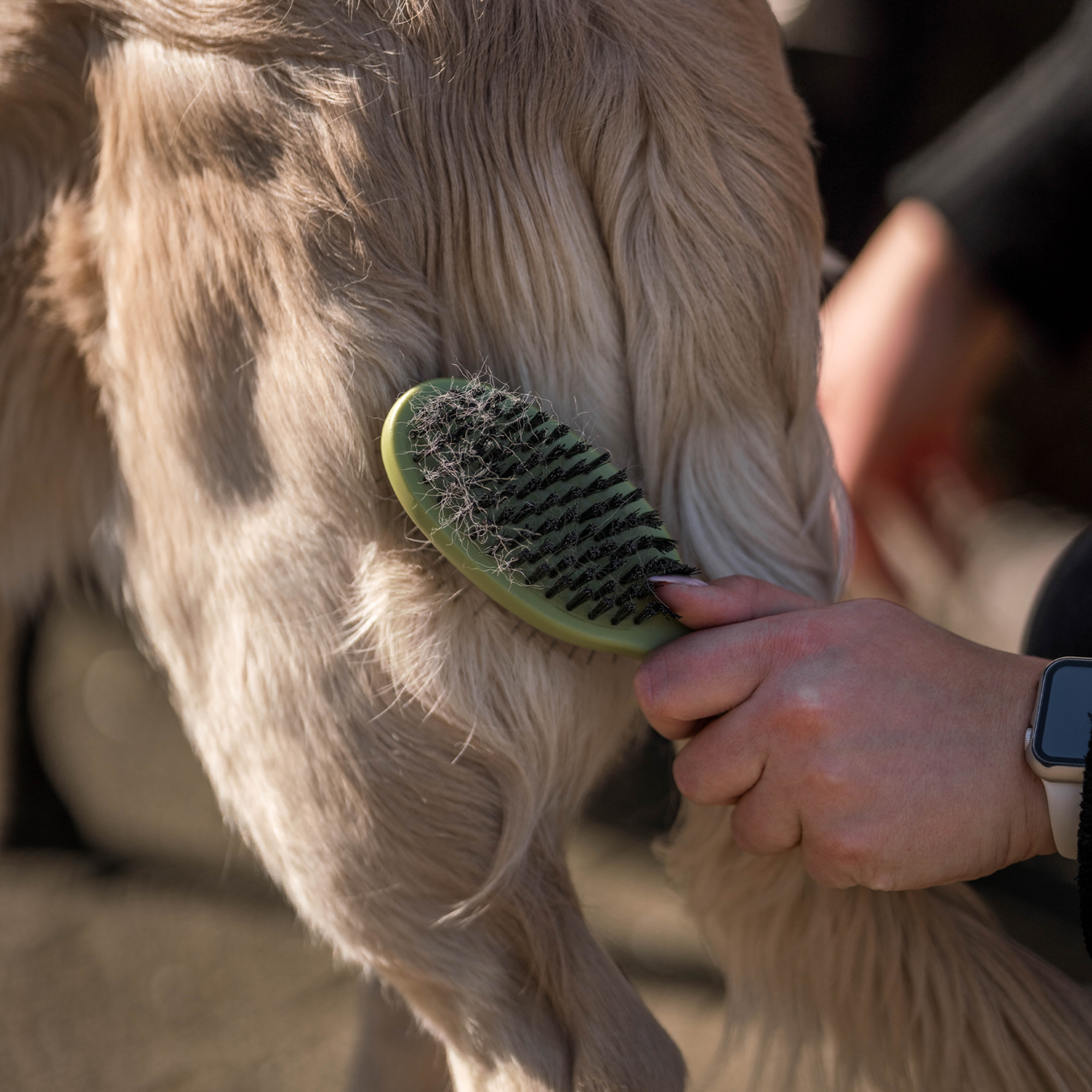 Safari® Hunde Doppelbürste