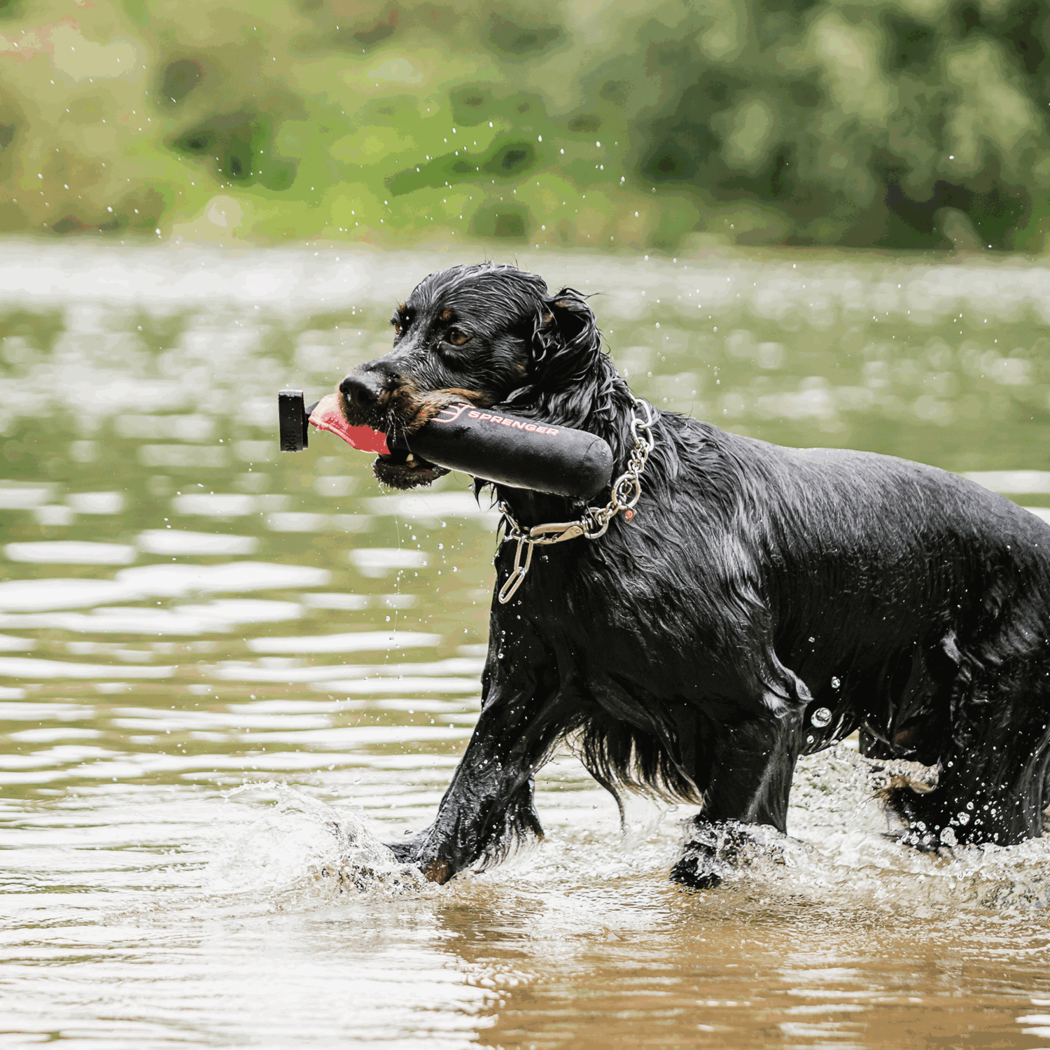 Hundespielzeug Dummy