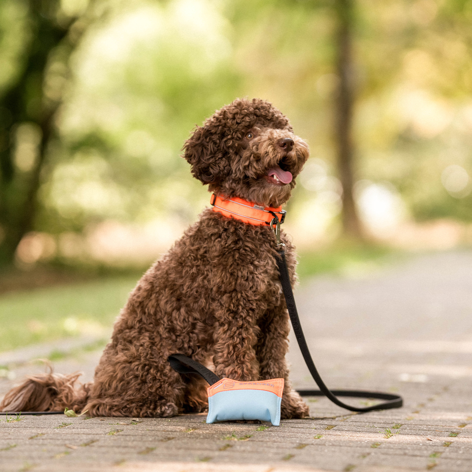 Hundespielzeug Kissen