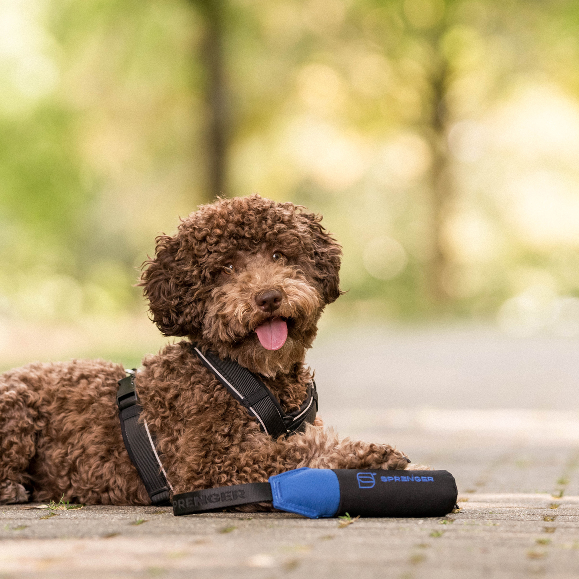 Hundespielzeug Dummy