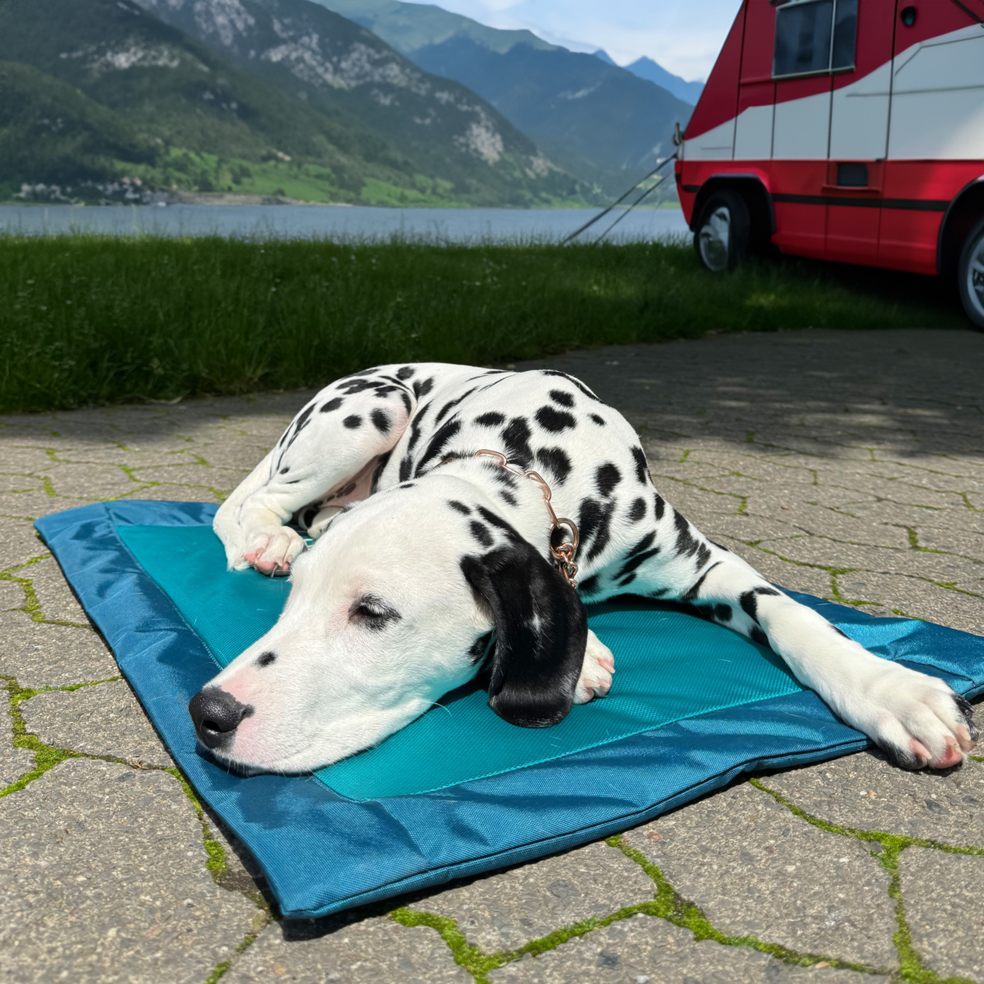 Hundematte