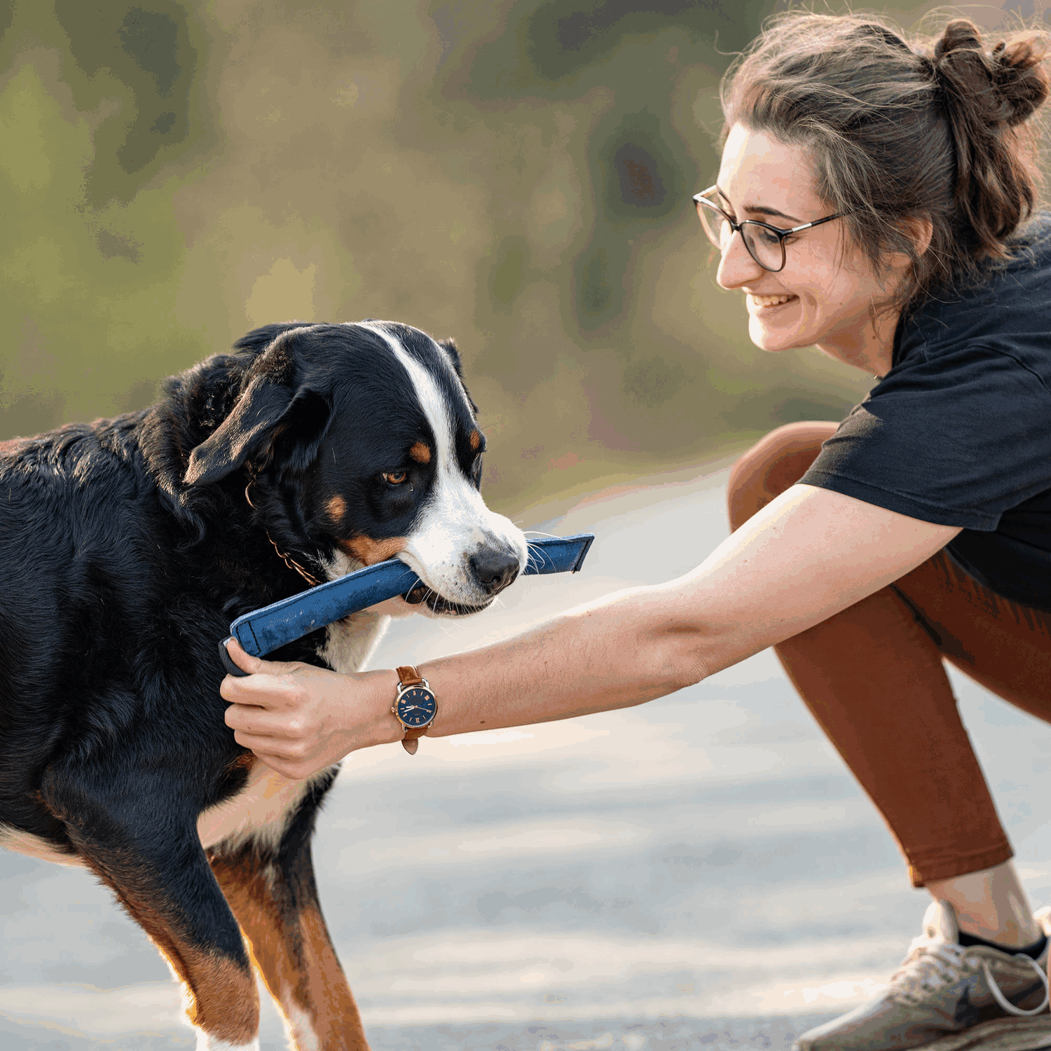 Leder-Bringsel | 58196_001_00-4.png | 1704467141