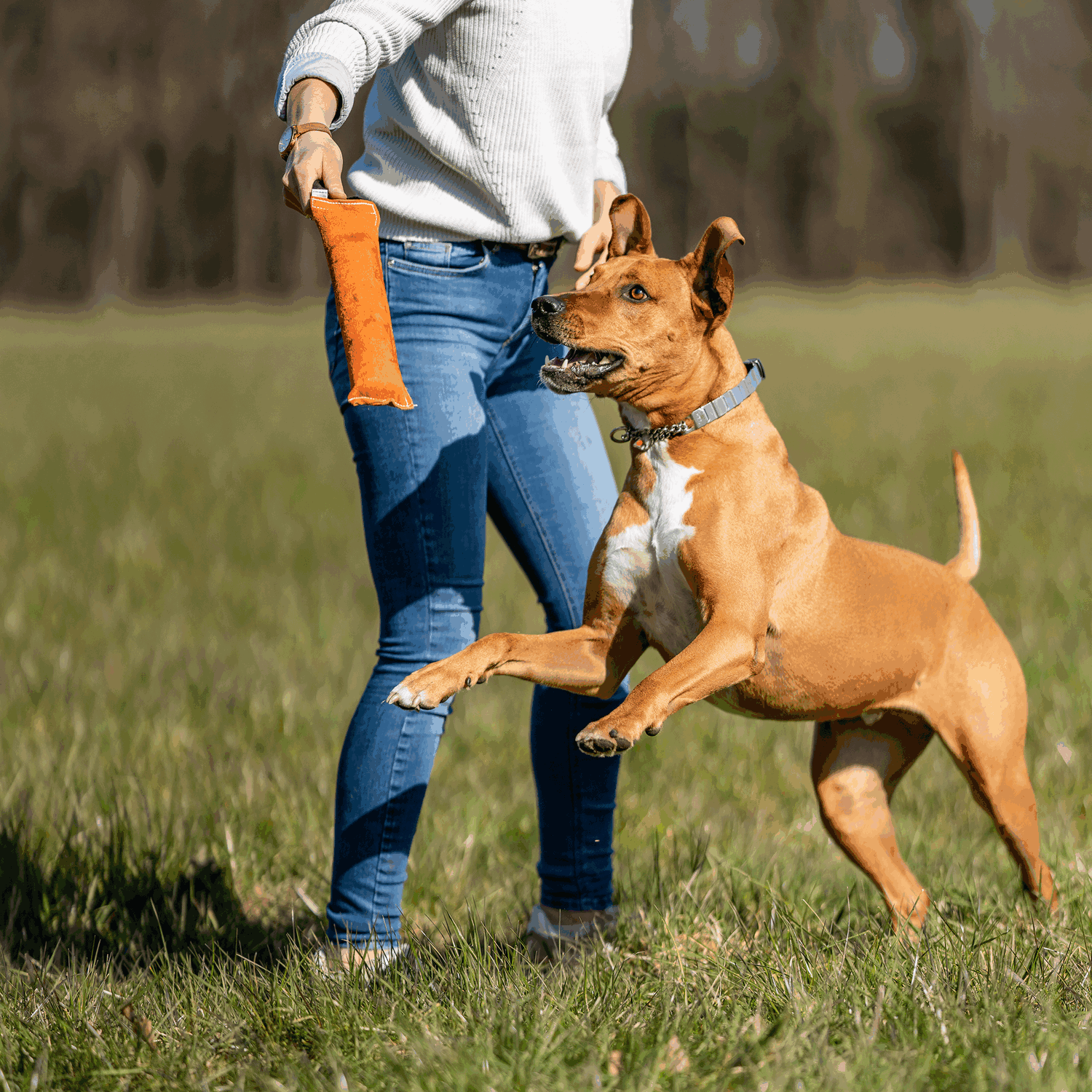 Leder-Bringsel | 58196_007_00-9.png | 1704467149