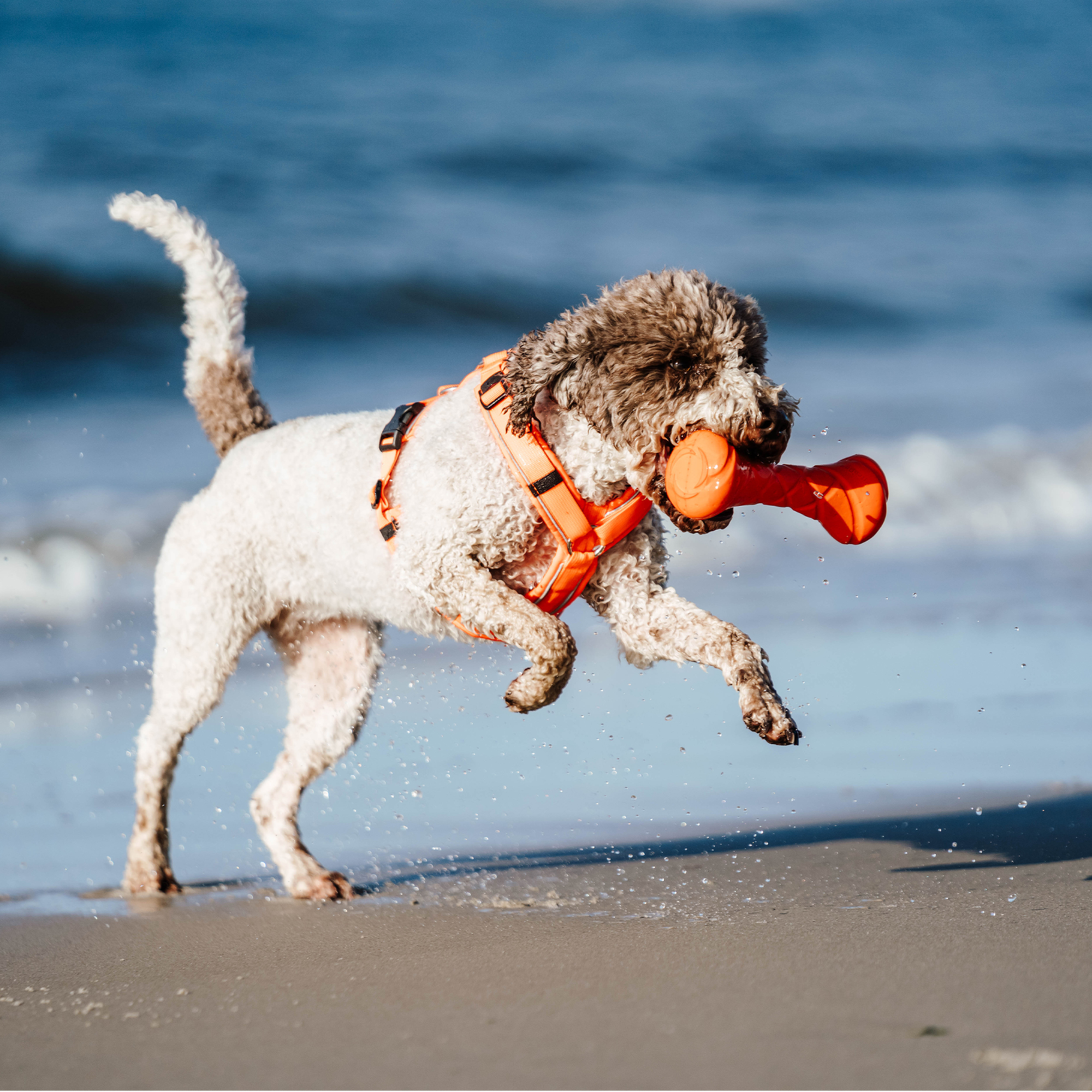 Hundespielzeug Apportierhantel