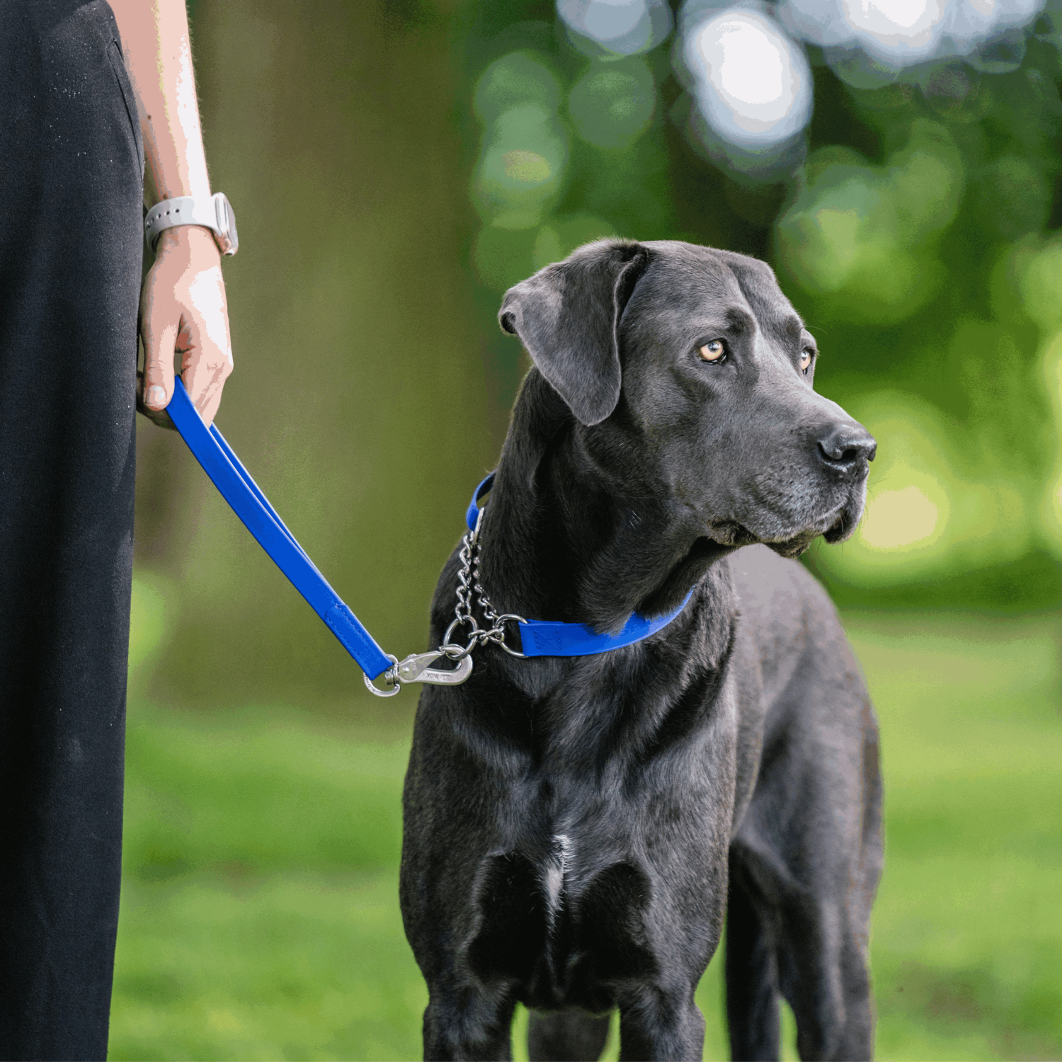 BioThane® Kurzführer