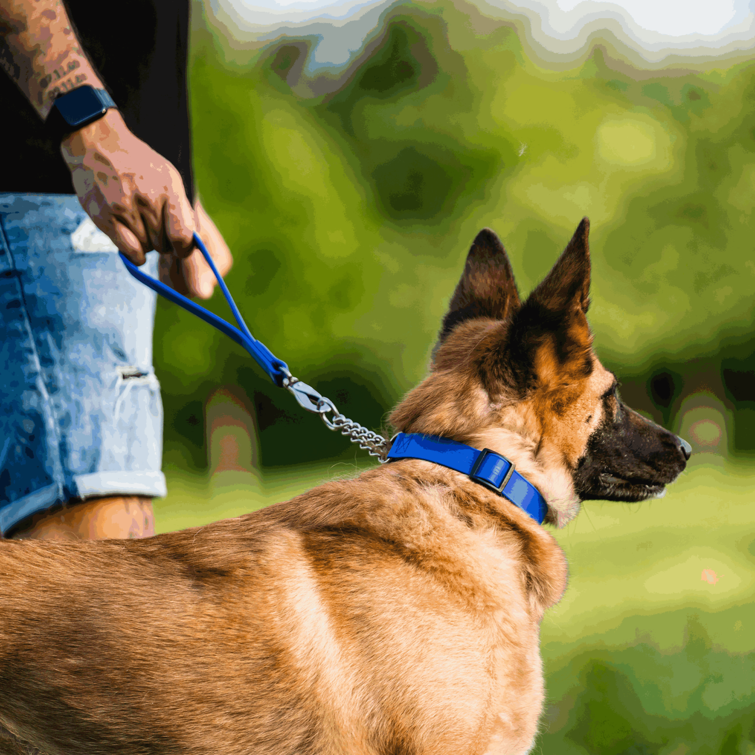 BioThane® Kurzführer