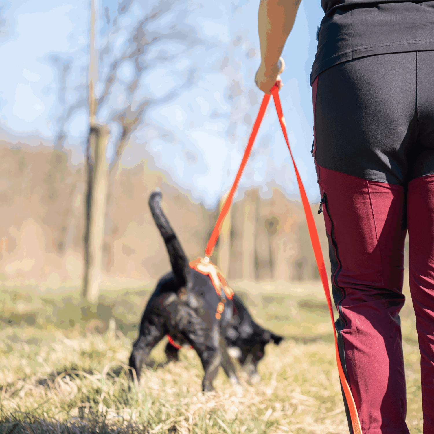 Footballgrip BioThane® Schleppleine