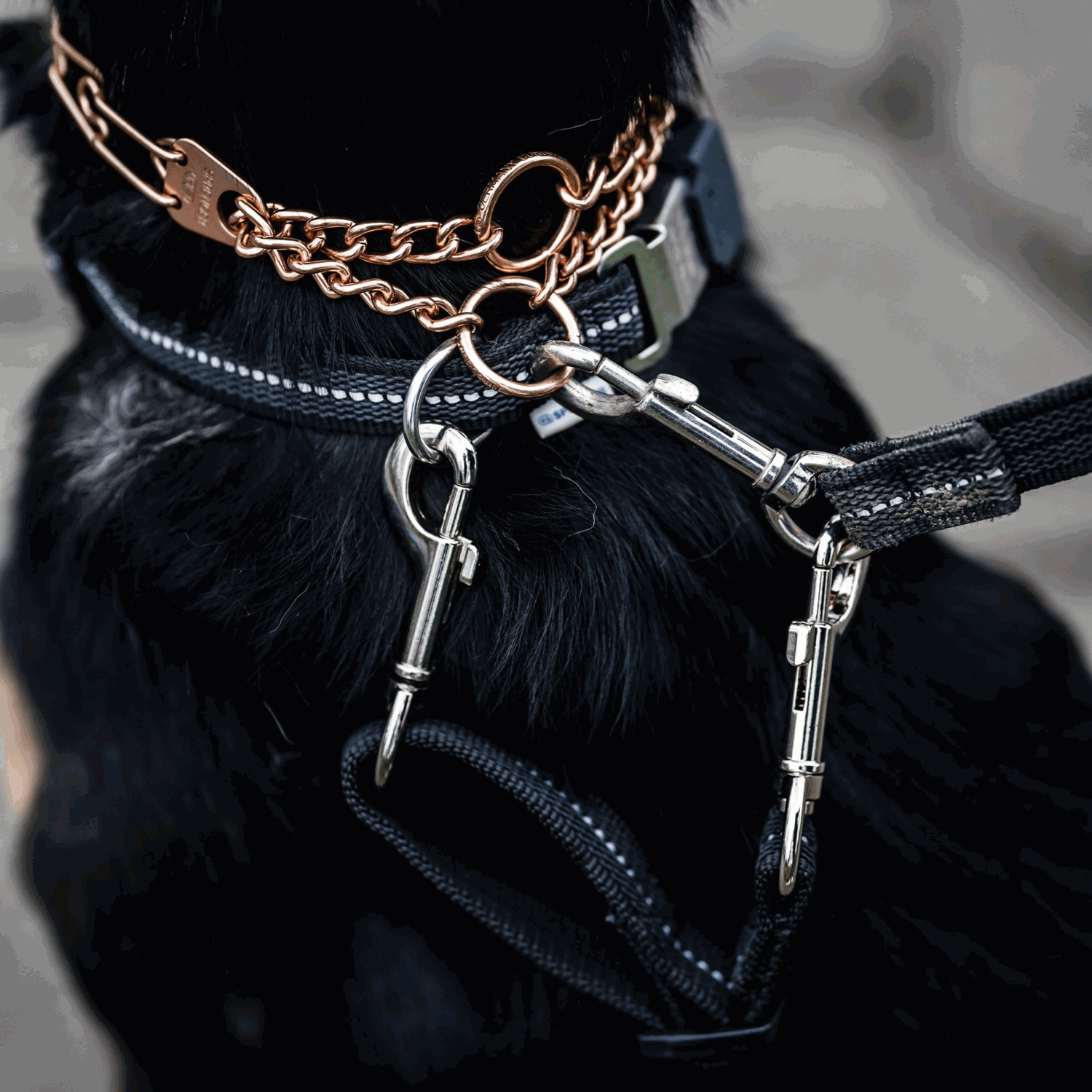 Safety Clip 15-20cm | 5923600671_1.png | 1742332964