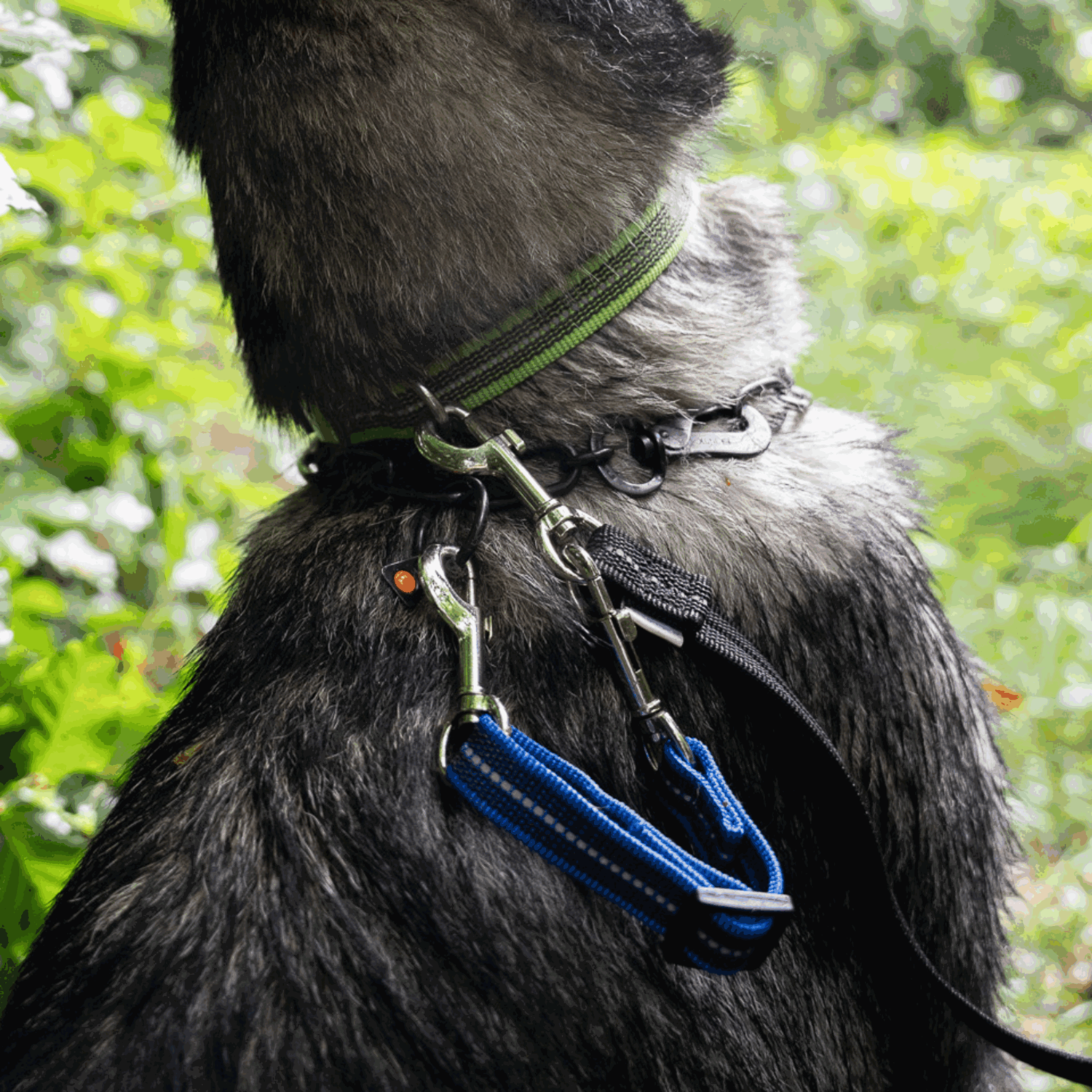 Safety Clip 15-20cm | 5923600676.png | 1748995197