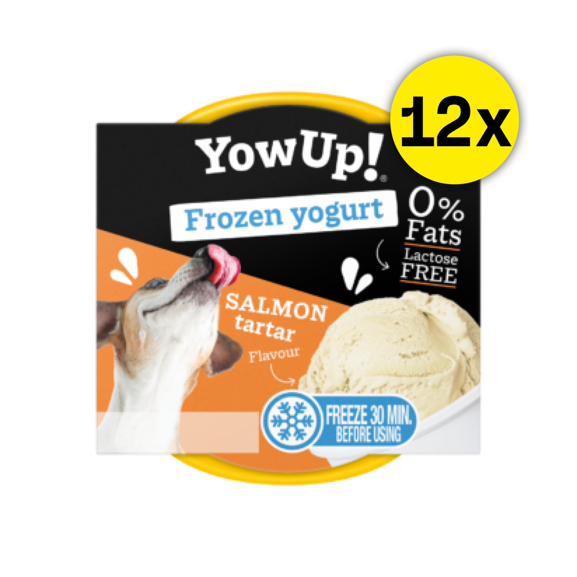 YowUp! Hunde-Frozen Yogurt 110g (Box 12 Stück)