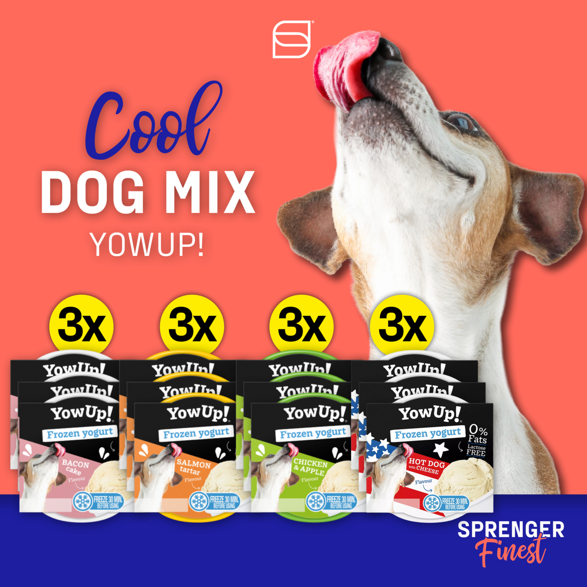 YowUp! Hunde-Frozen Yogurt 110g (Box 12 Stück)