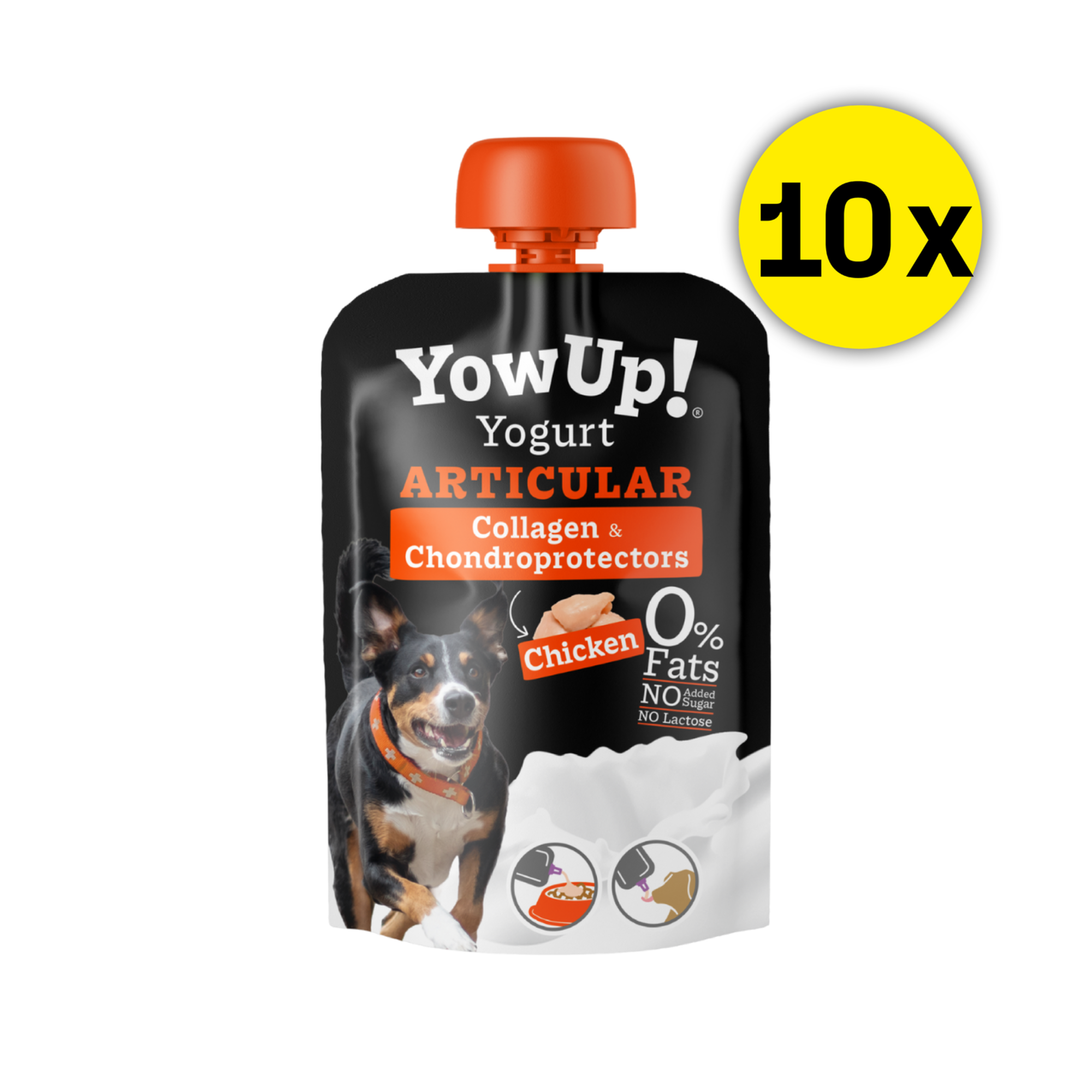 YowUp! Hunde-Joghurt 115g (Box 10 Stück)