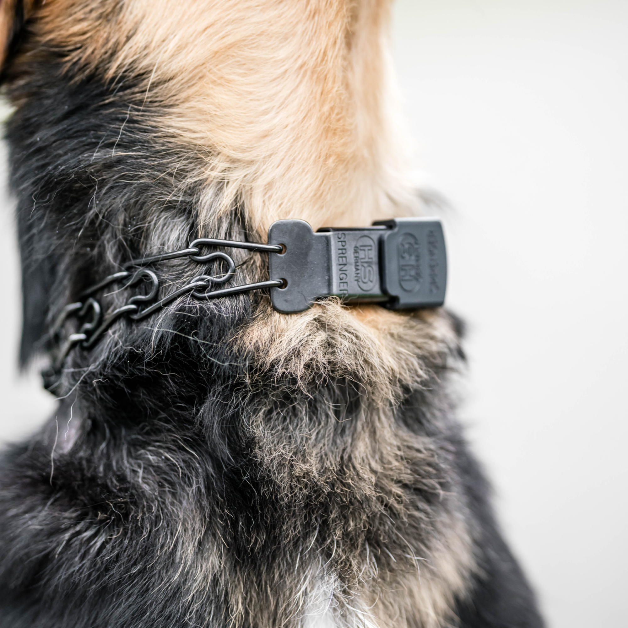 ULTRA-PLUS Dressurhalskette mit Durchzugskette und ClicLock - Edelstahl Rostfrei schwarz