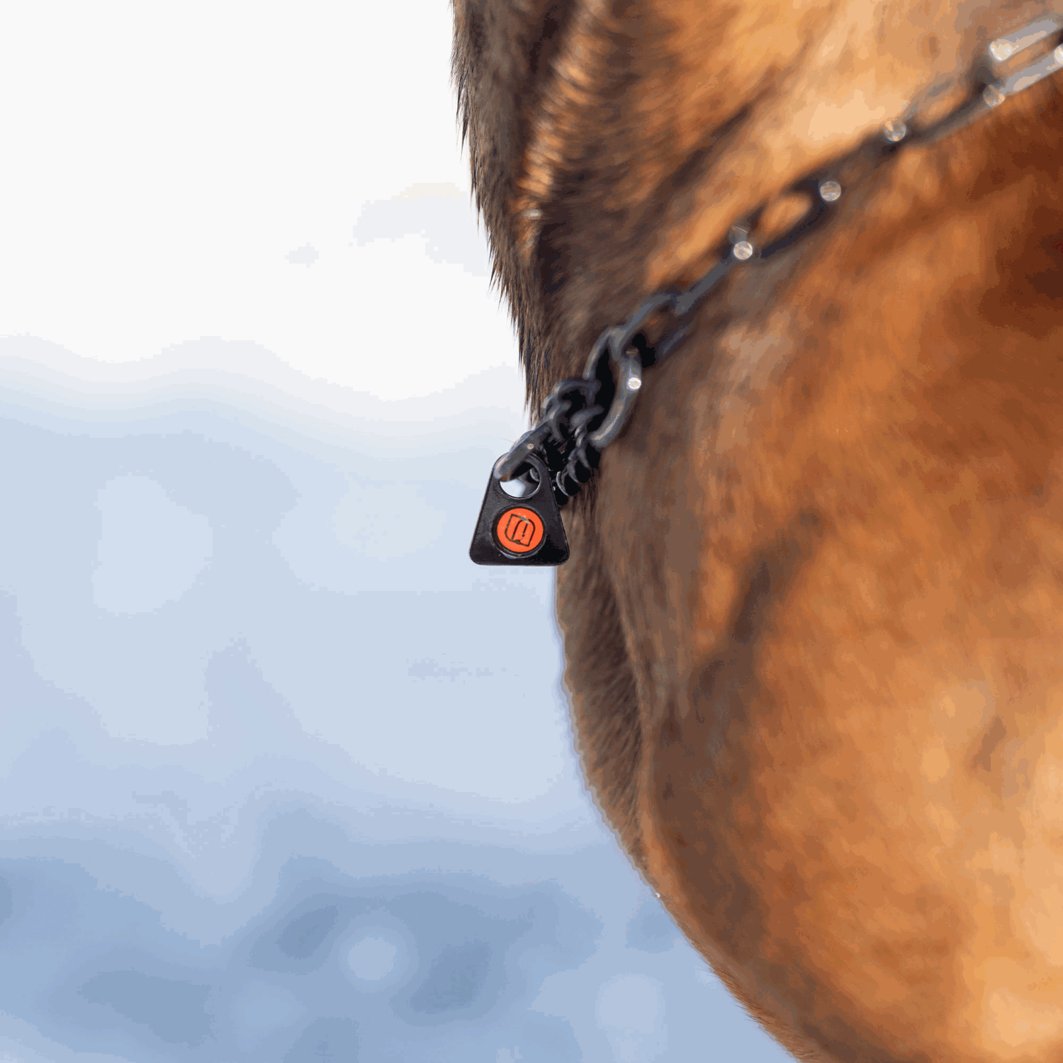 Halskette mit Zugbegrenzung - Edelstahl Rostfrei schwarz, 2,0 mm | 51445-57_3.png | 1705299796