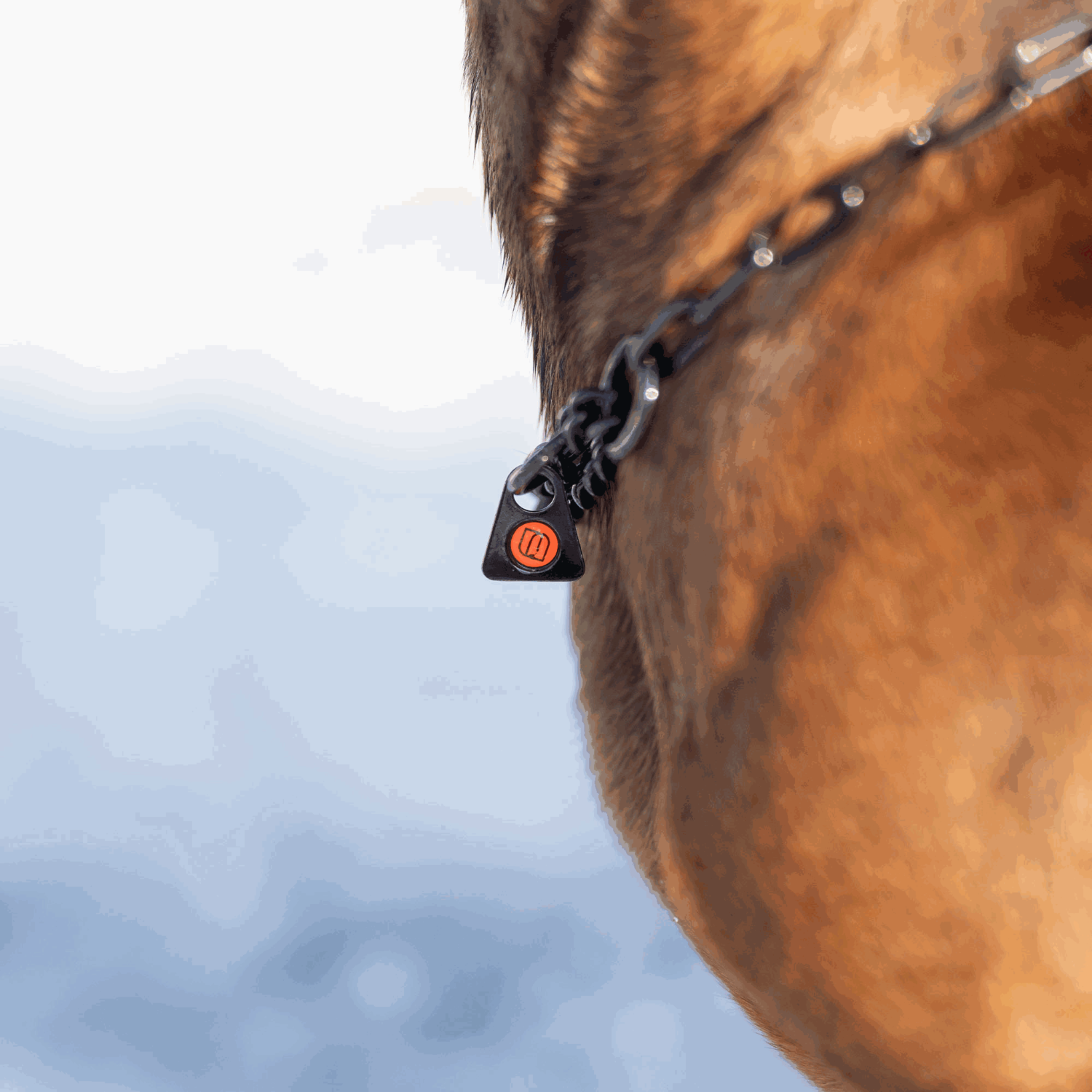 Halskette mit Zugbegrenzung - Edelstahl Rostfrei schwarz, 2,0 mm