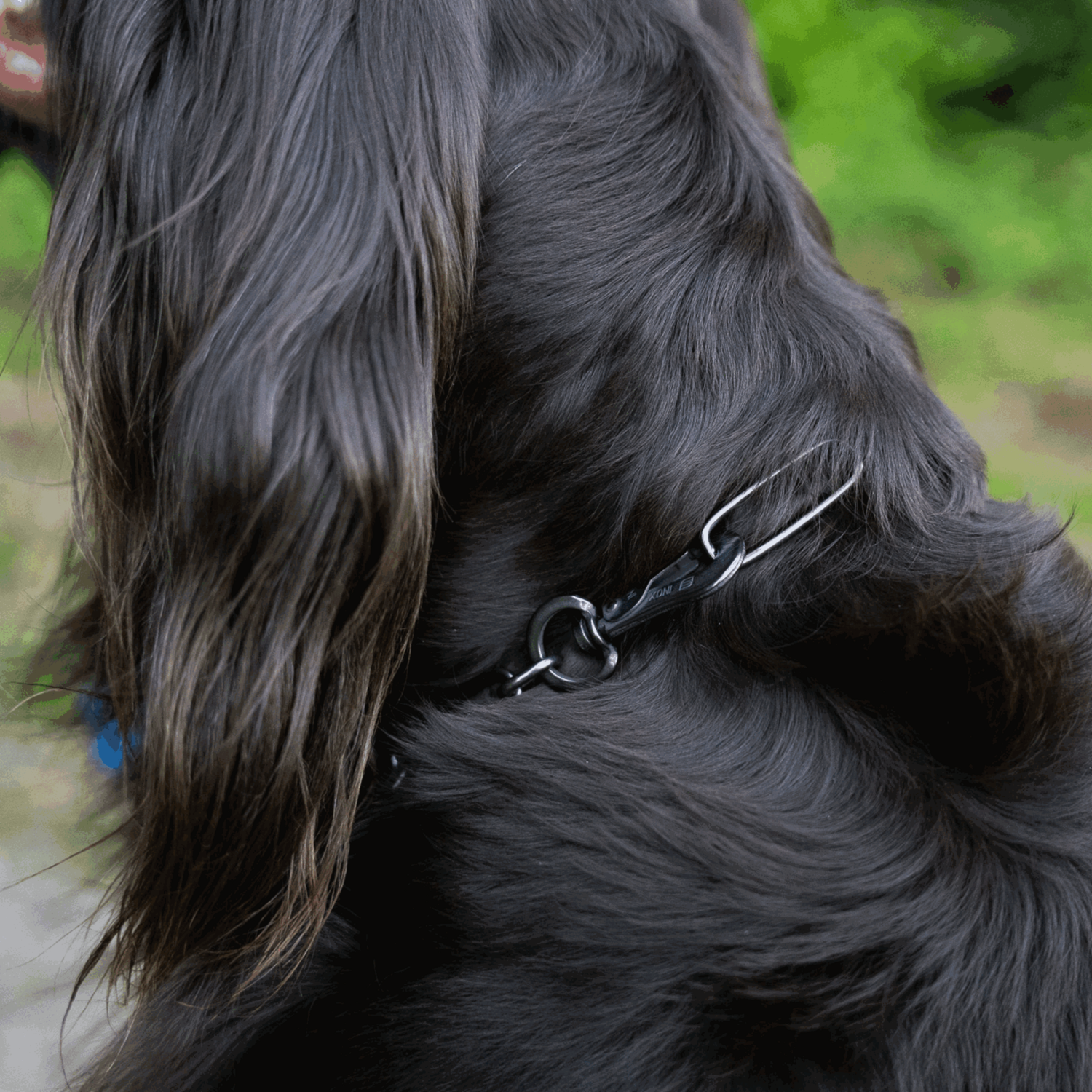 Halskette, langgliedrig, verstellbar - mit SPRENGER-Haken - Edelstahl Rostfrei schwarz, 3,0 mm