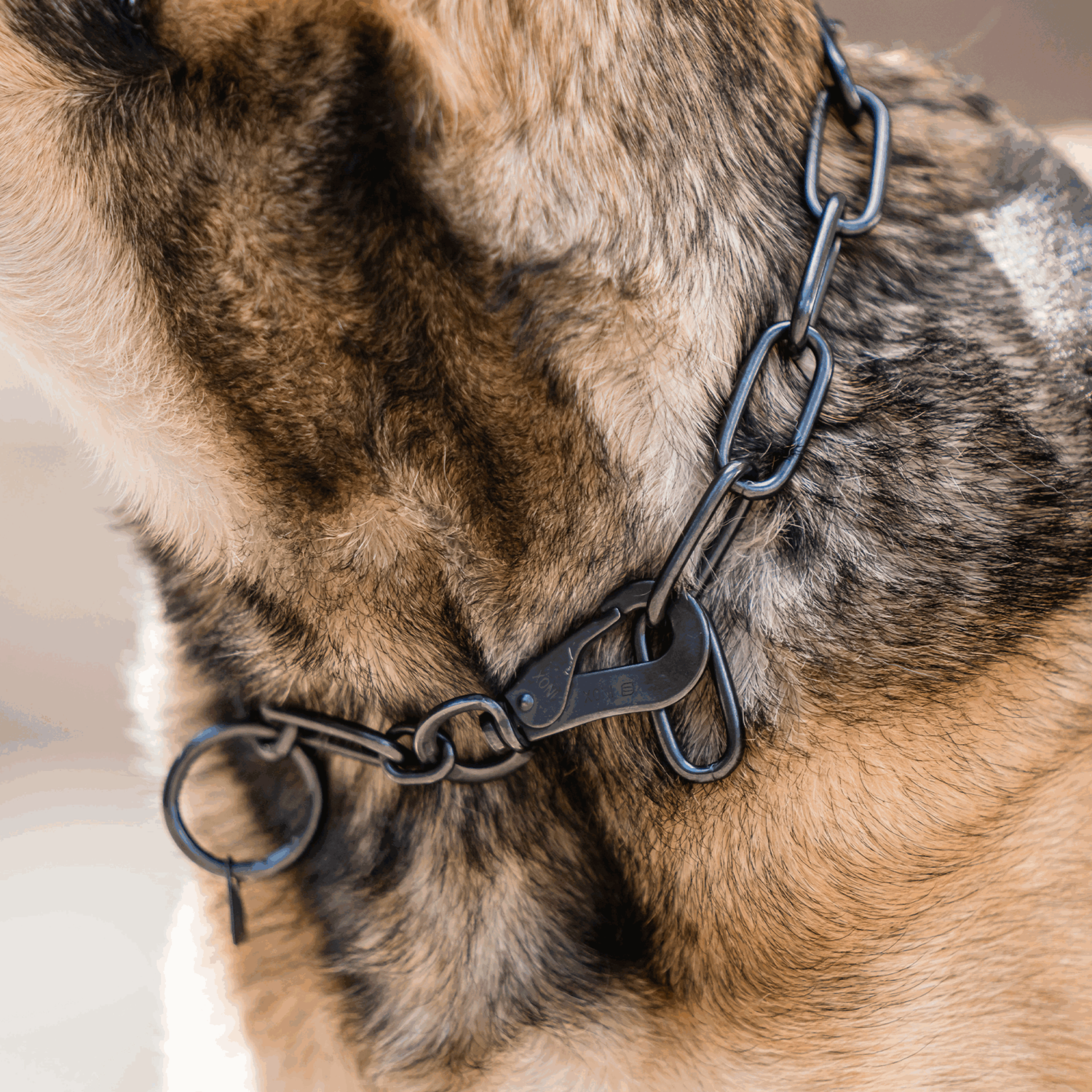 Halskette, langgliedrig, verstellbar - mit SPRENGER-Haken - Edelstahl Rostfrei schwarz, 4,0 mm