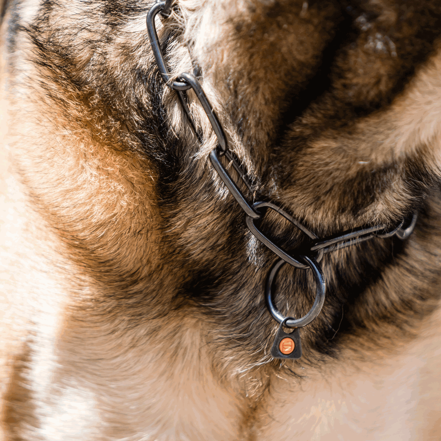 Halskette, langgliedrig, verstellbar - mit SPRENGER-Haken - Edelstahl Rostfrei schwarz, 4,0 mm