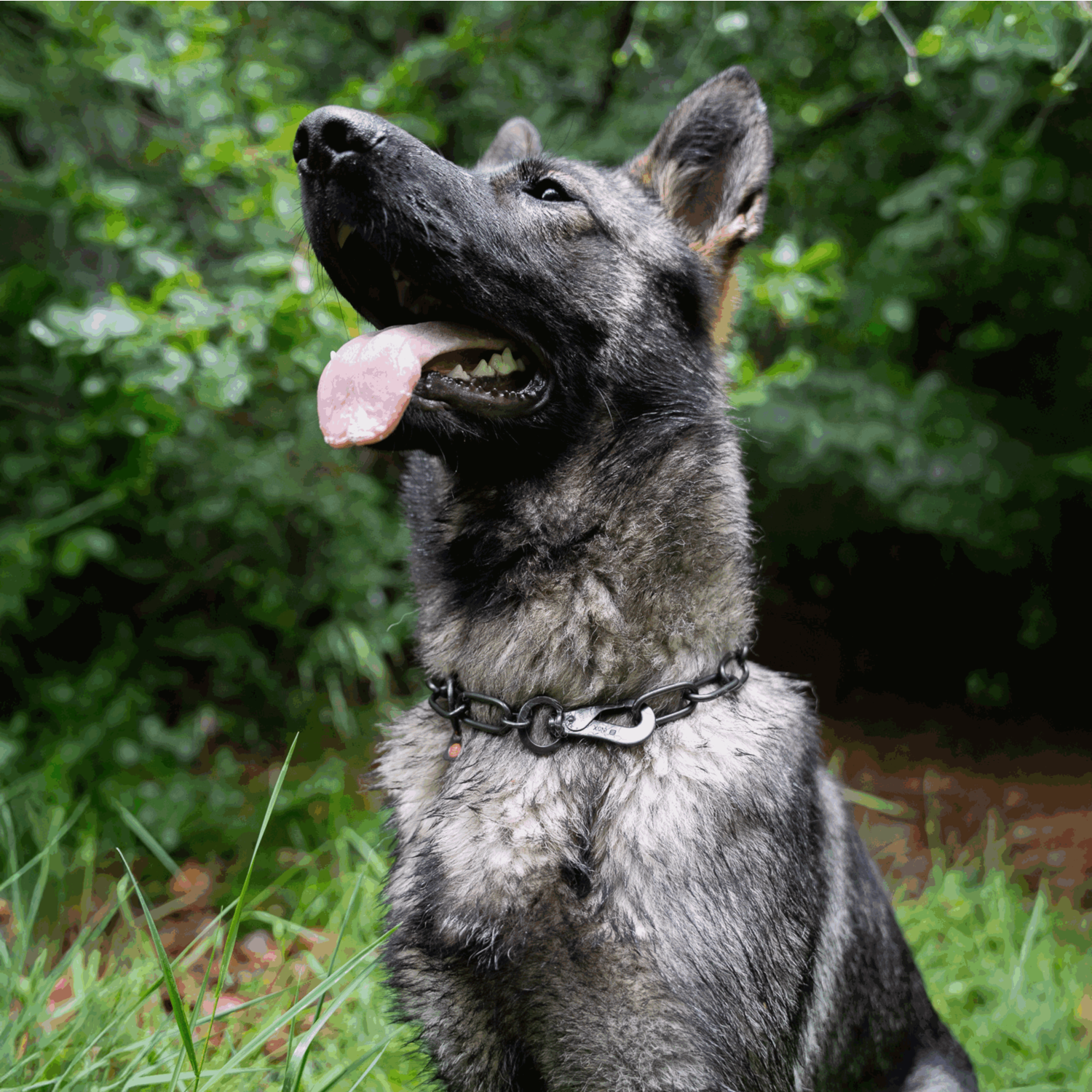 Halskette, langgliedrig, verstellbar - mit SPRENGER-Haken - Edelstahl Rostfrei schwarz, 4,0 mm