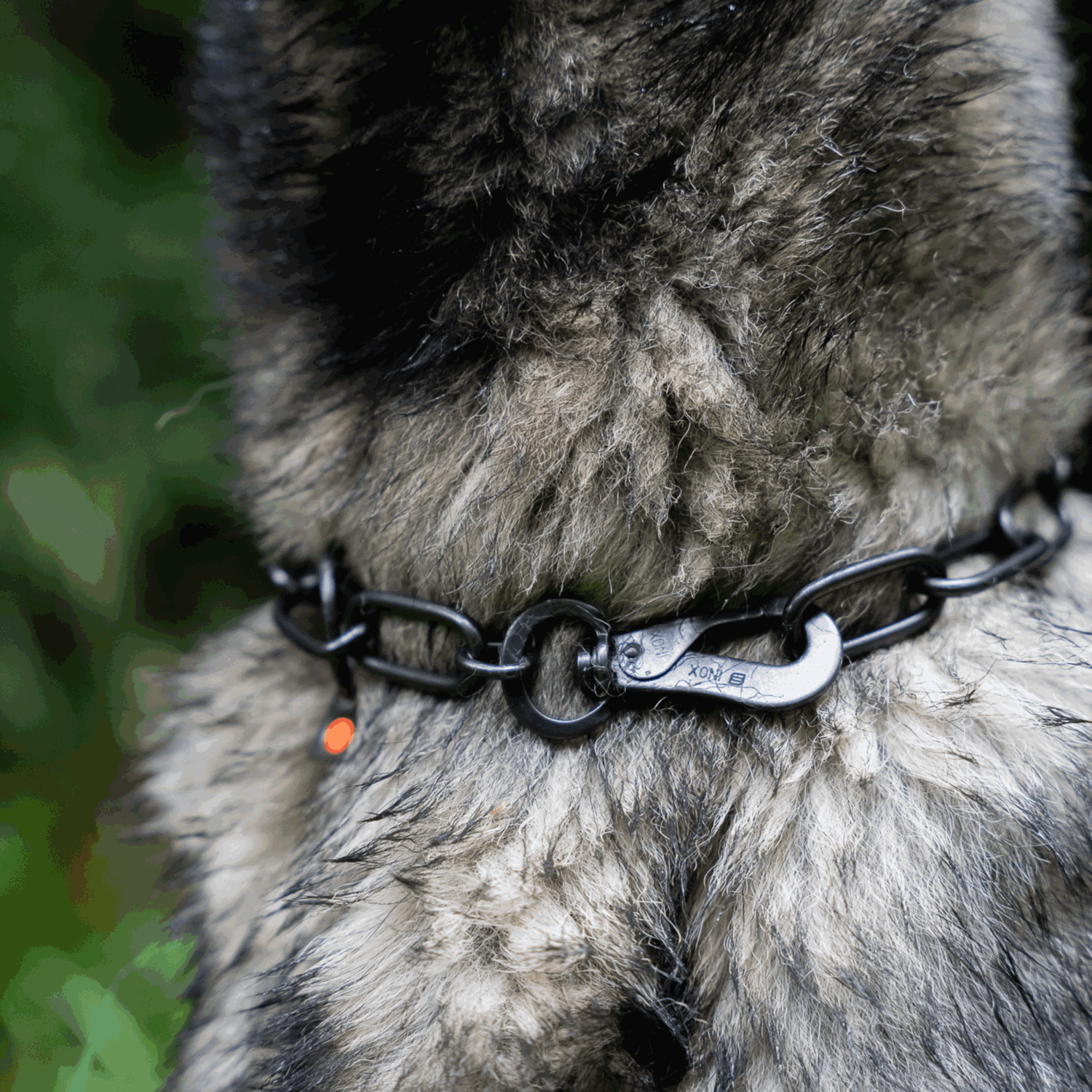 Halskette, langgliedrig, verstellbar - mit SPRENGER-Haken - Edelstahl Rostfrei schwarz, 4,0 mm