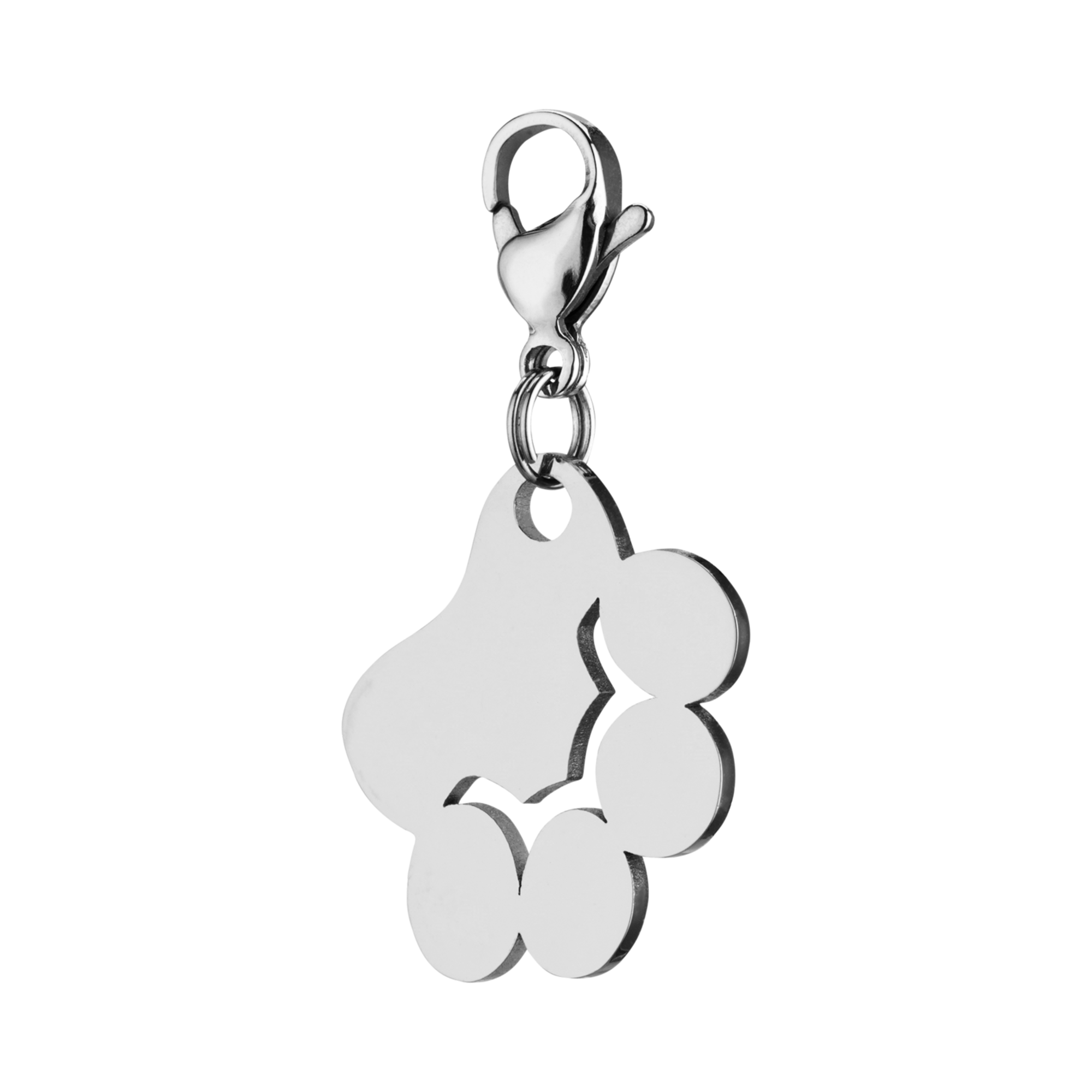 Set 1 Charms Pfote & Knochen