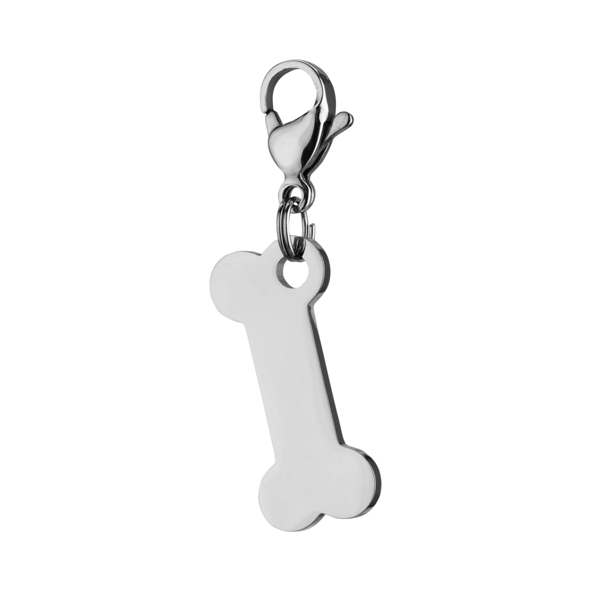 Set 1 Charms Pfote & Knochen