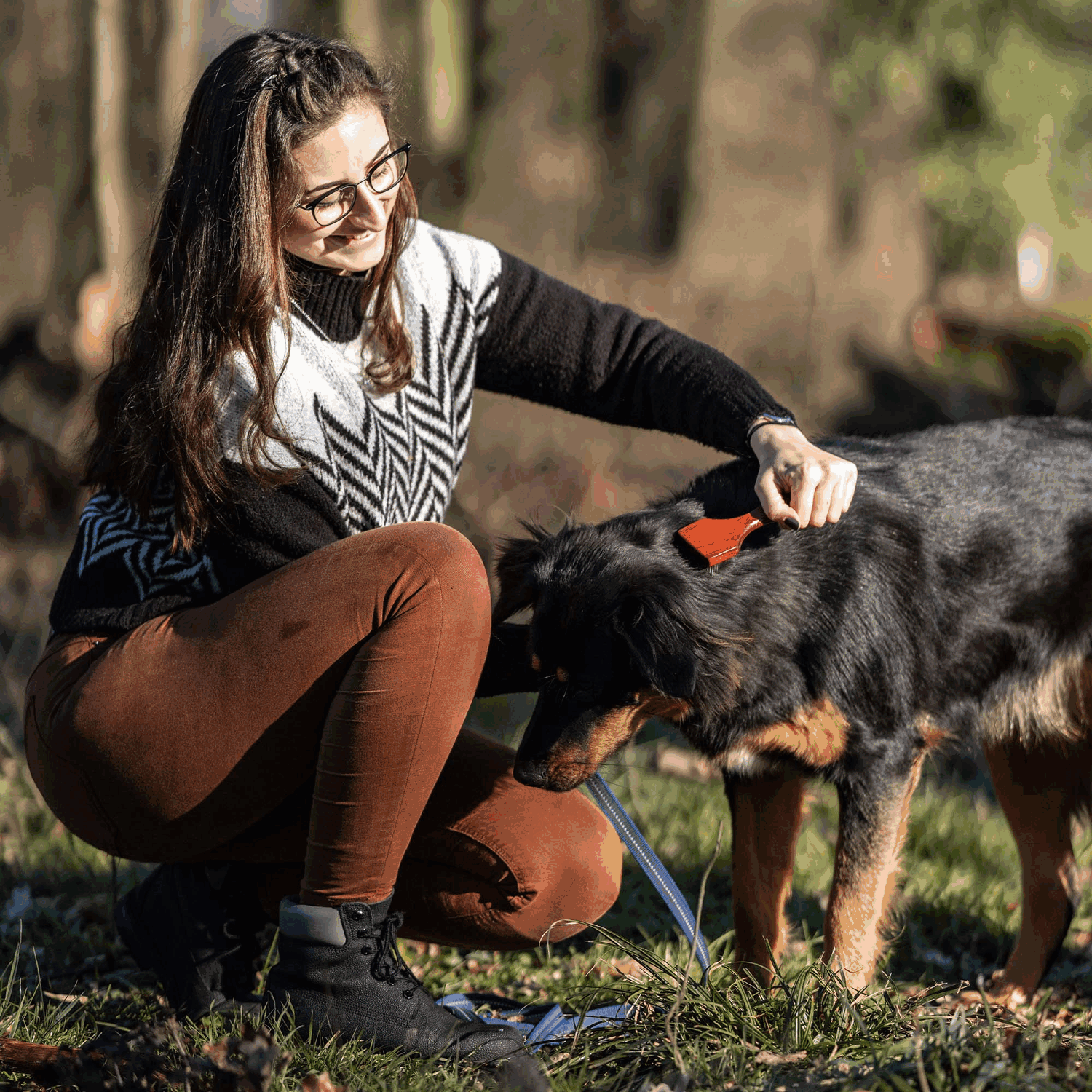 Hundekratzer - 2 reihig, 20 mm Stahlzinken