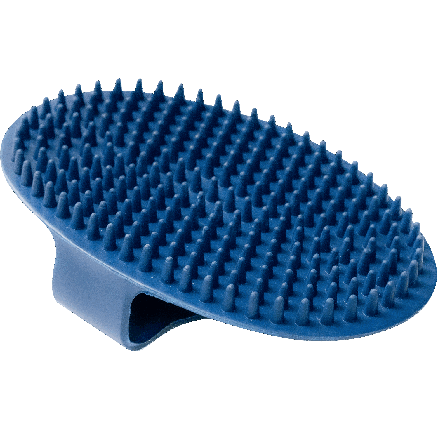 Striegel, oval - Gummi, blau, 150 x 100 mm | 5713200076.png | 1700898399