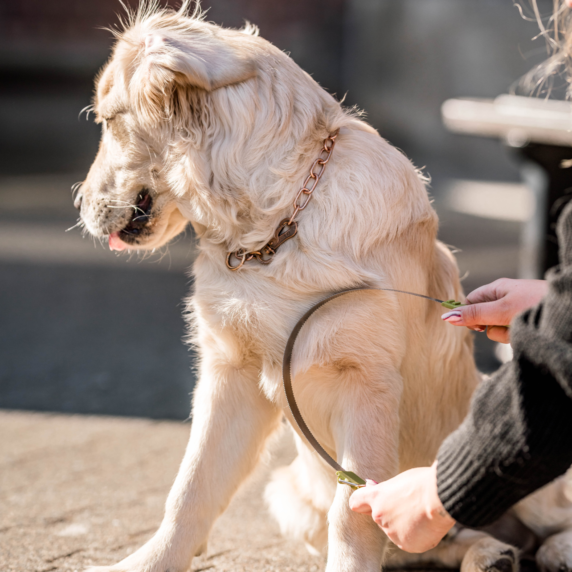Safari® Doppelseitige Unterwollharke Hunde
