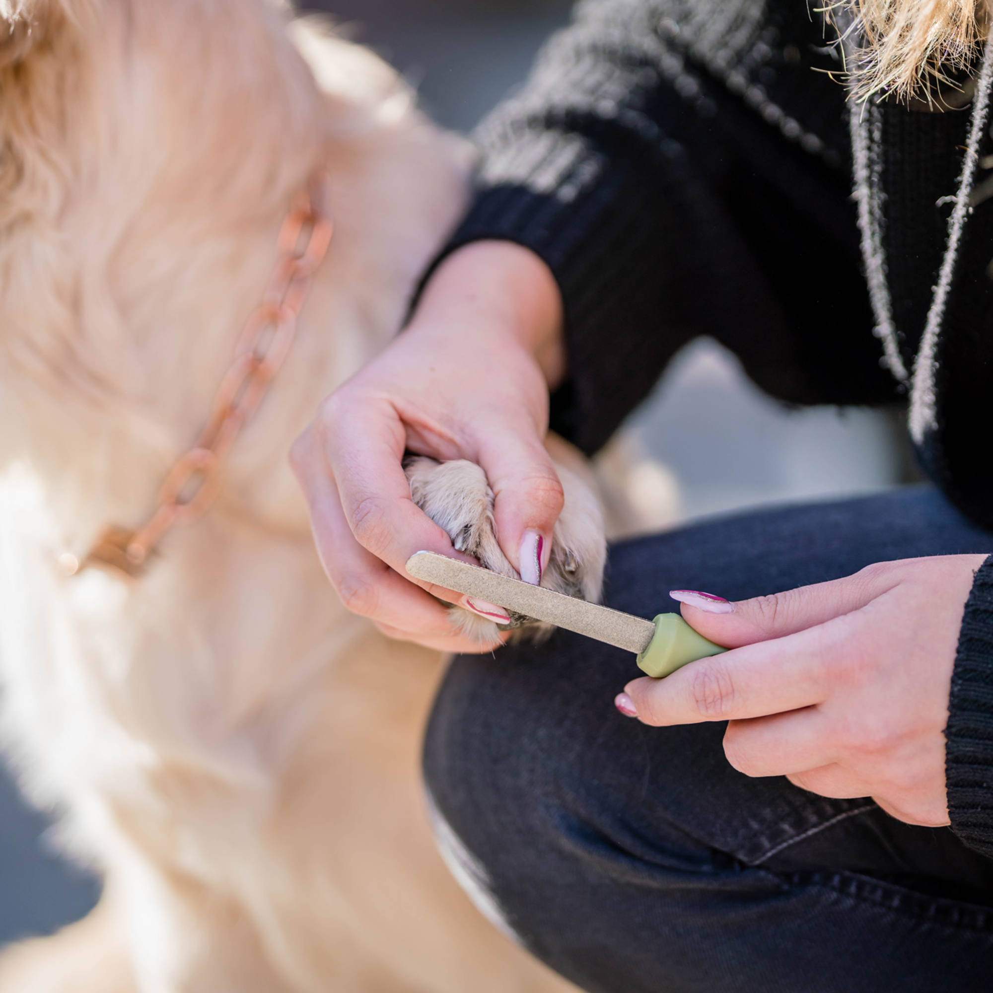 Safari® Hunde-Nagelfeile