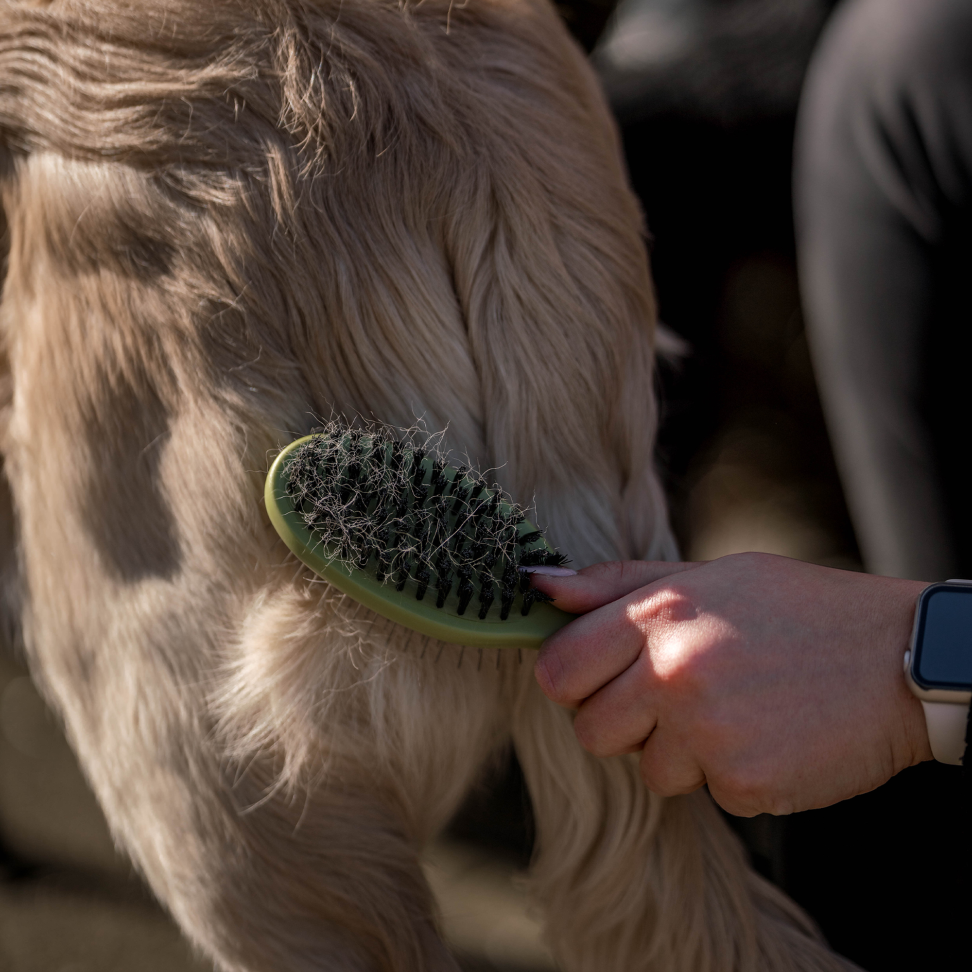 Safari® Hunde Doppelbürste