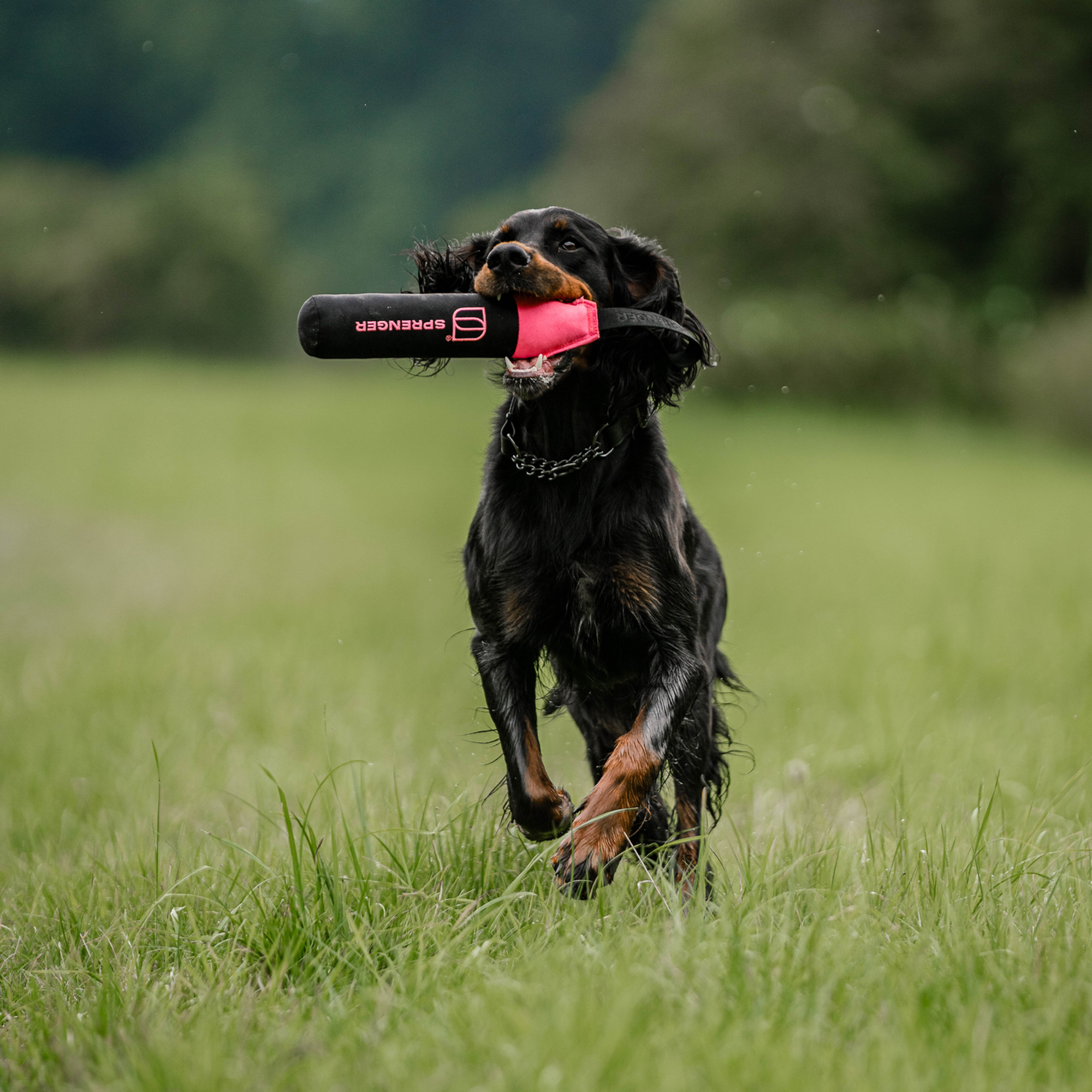 Hundespielzeug Dummy