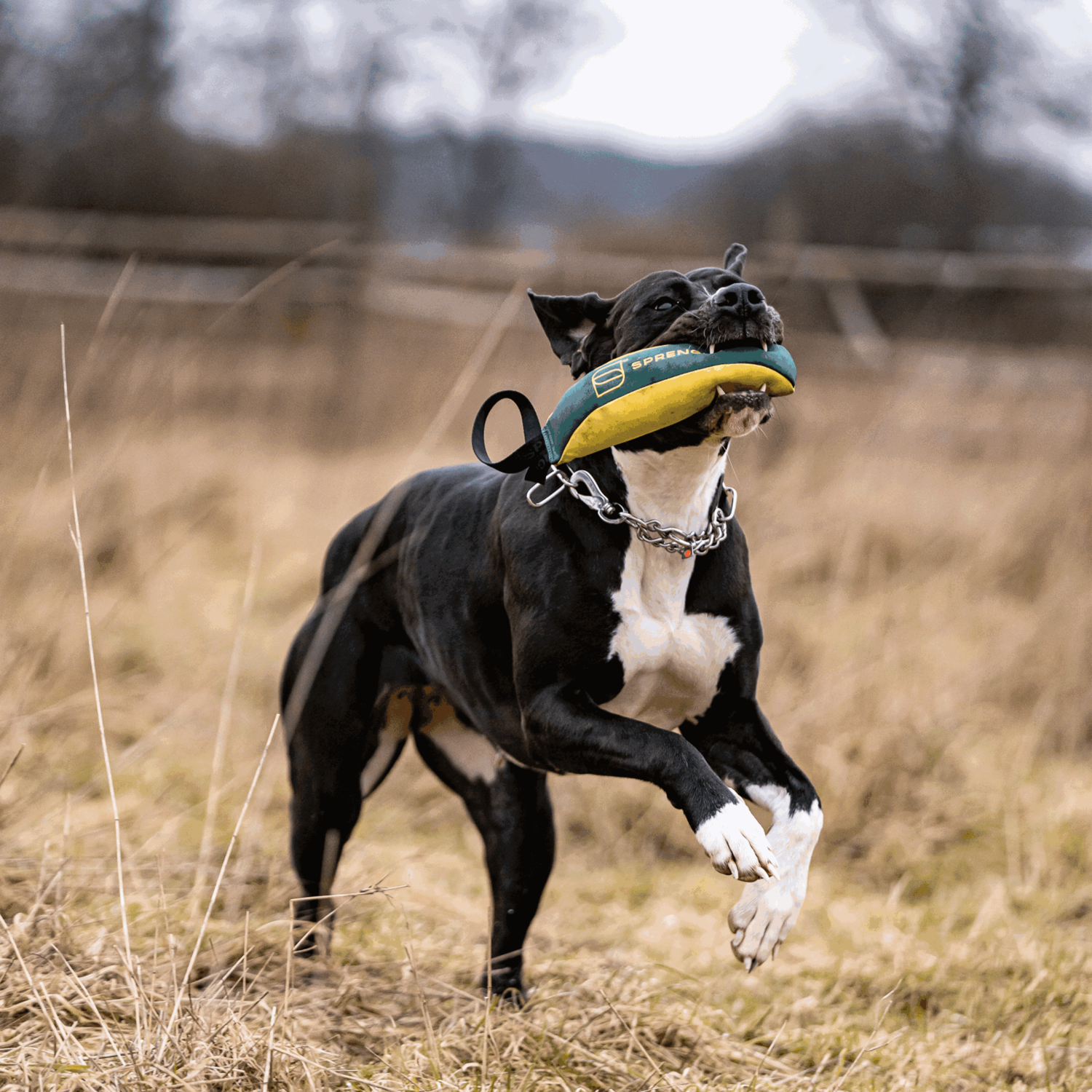 Hundespielzeug Soft Bringsel M