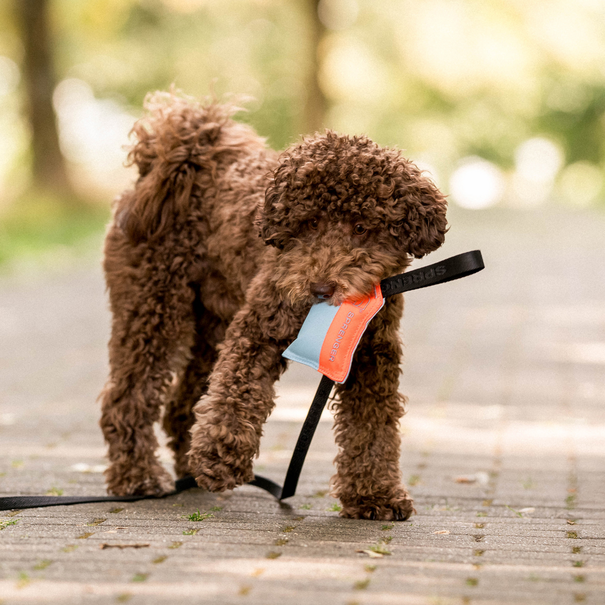 Hundespielzeug Kissen
