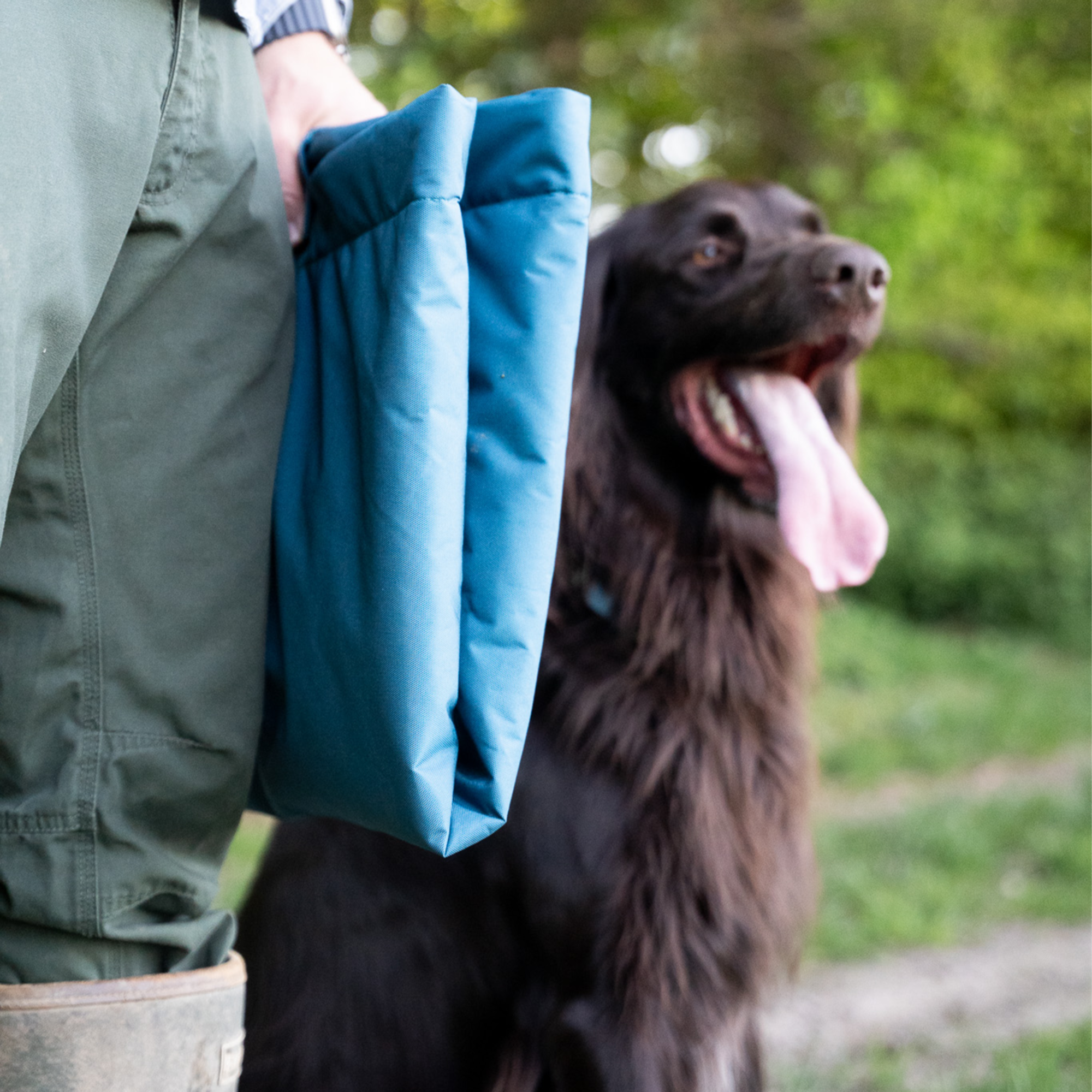 Hundematte