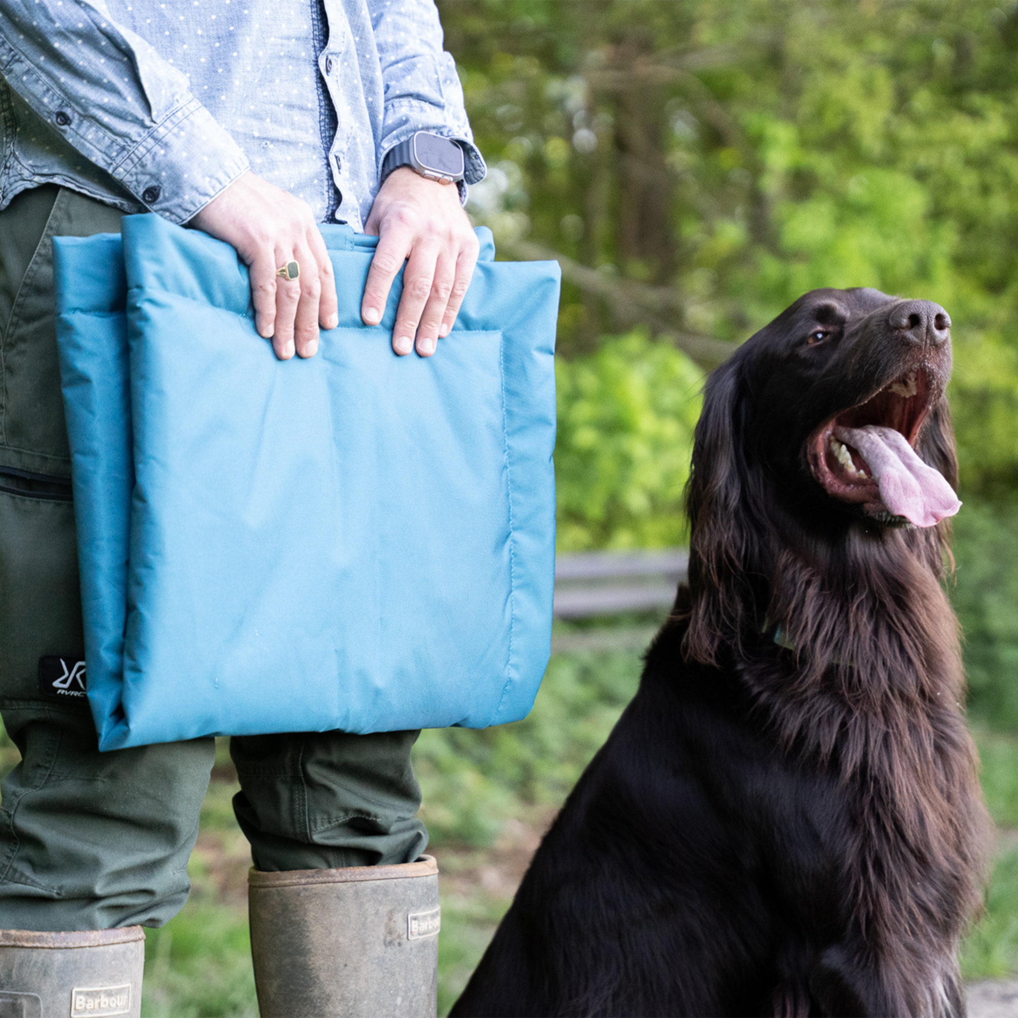 Hundematte