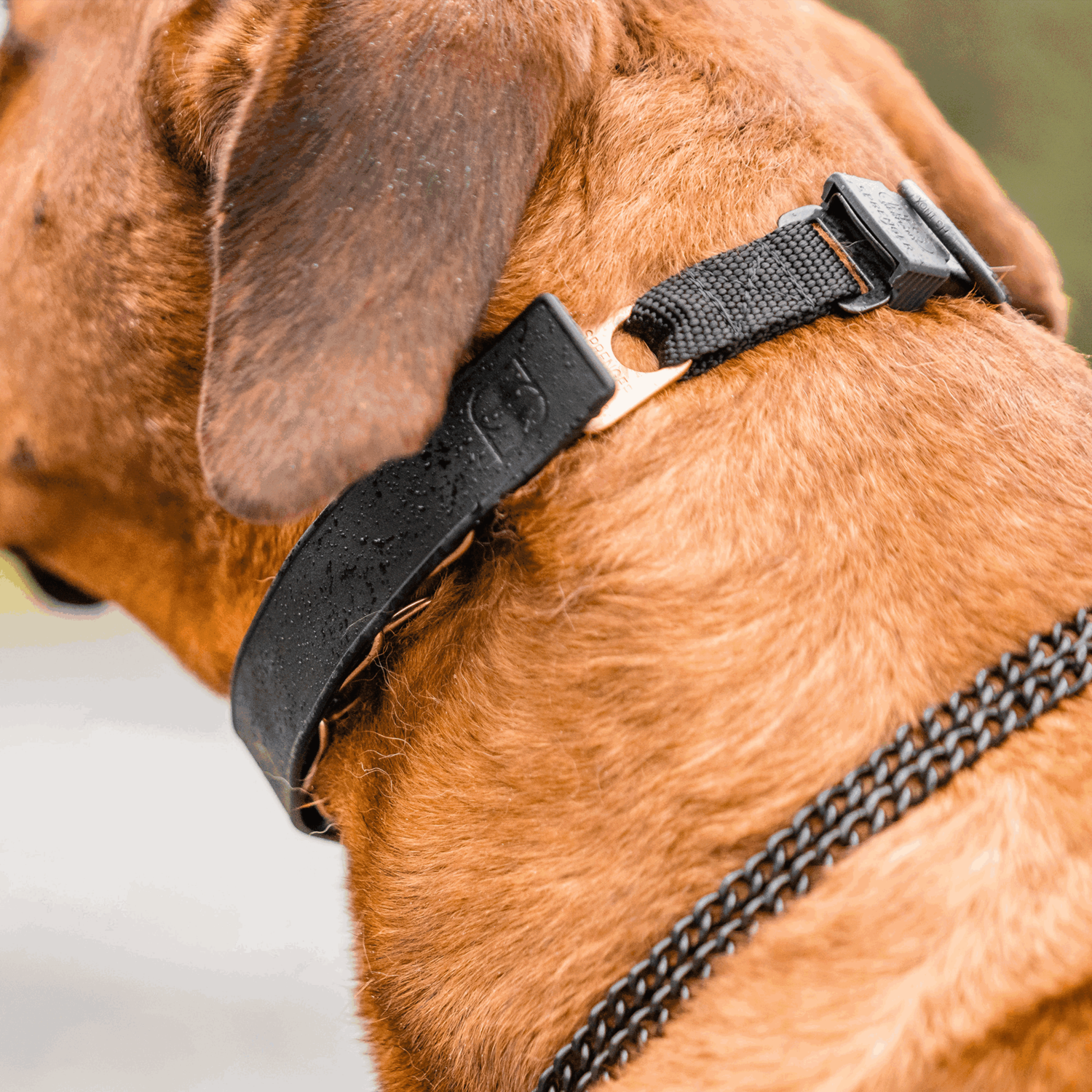 FLEXCOVER für ULTRA-PLUS Dressurhalsketten - schwarz