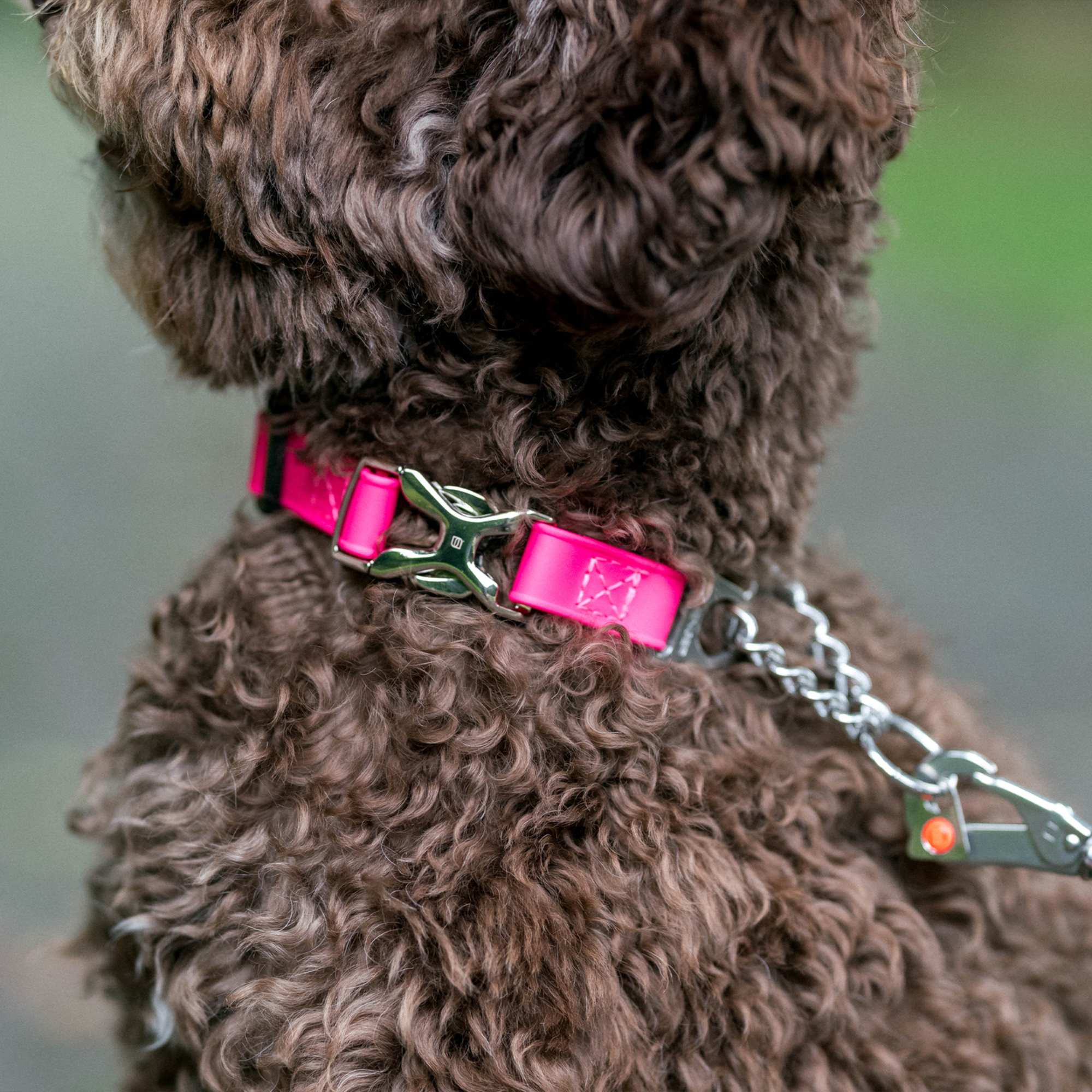 BioThane® Adjustable Halsband mit Durchzugskette und Spyder Verschluss, verstellbar