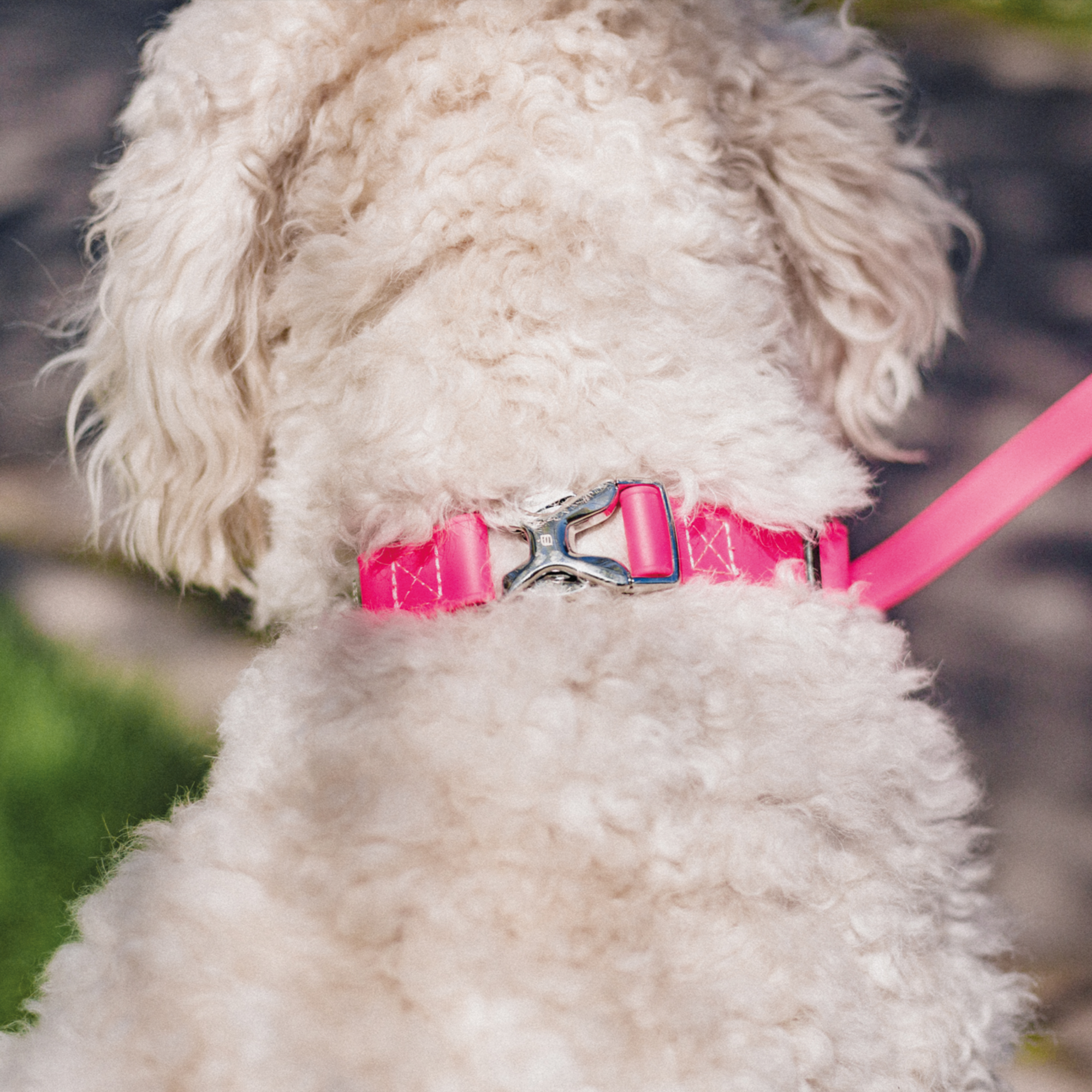BioThane® Adjustable Halsband mit Durchzugskette und Spyder Verschluss, verstellbar