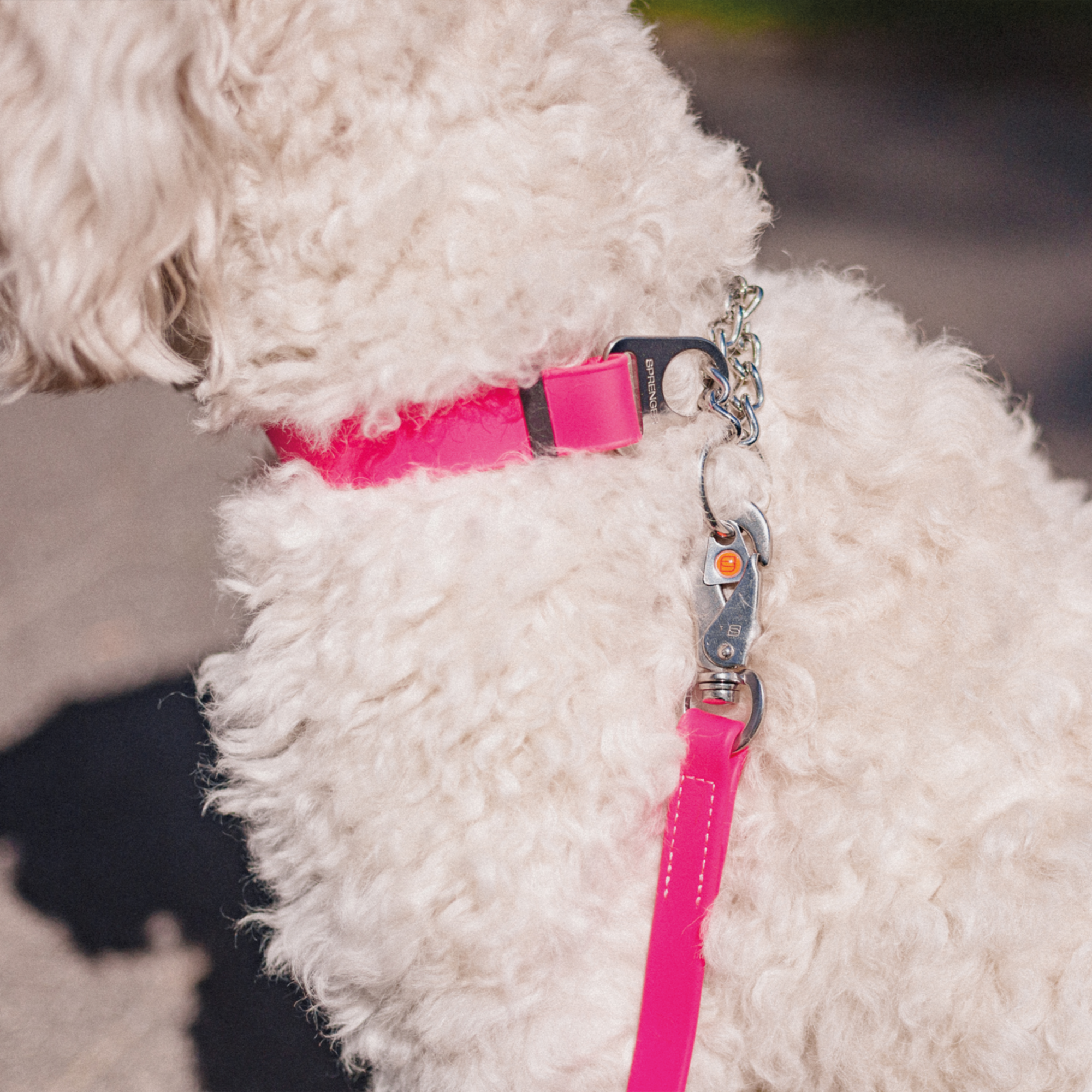 BioThane® Adjustable Halsband mit Durchzugskette und Spyder Verschluss, verstellbar