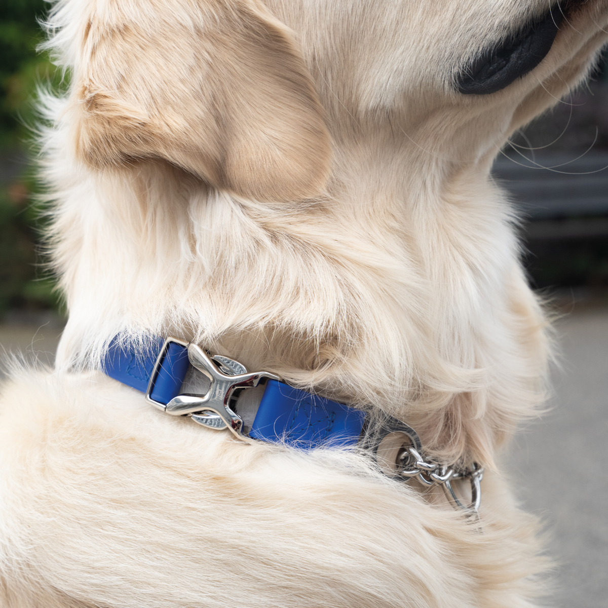 BioThane® Adjustable Halsband mit Durchzugskette und Spyder Verschluss, verstellbar