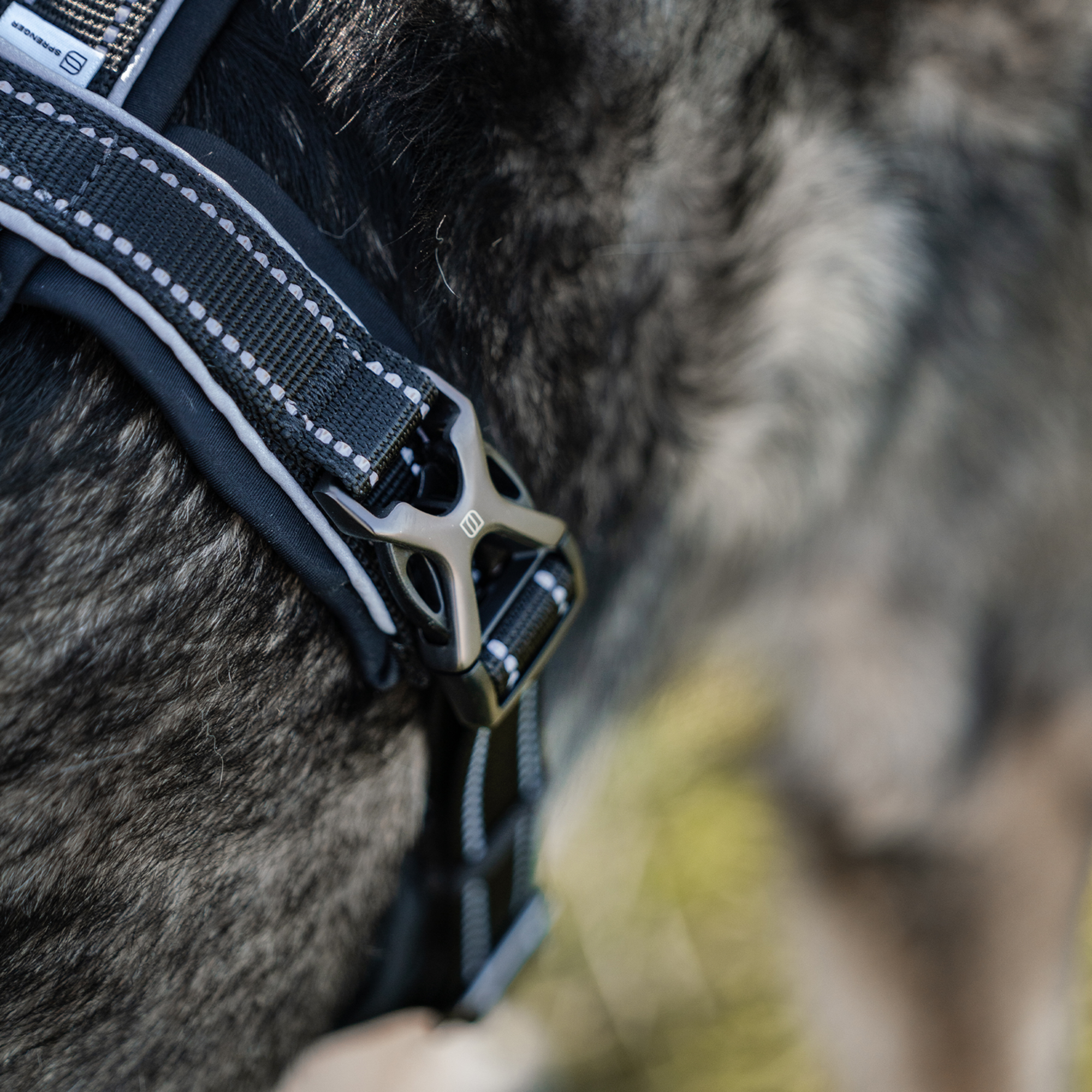 Hundegeschirr Y-Geschirr