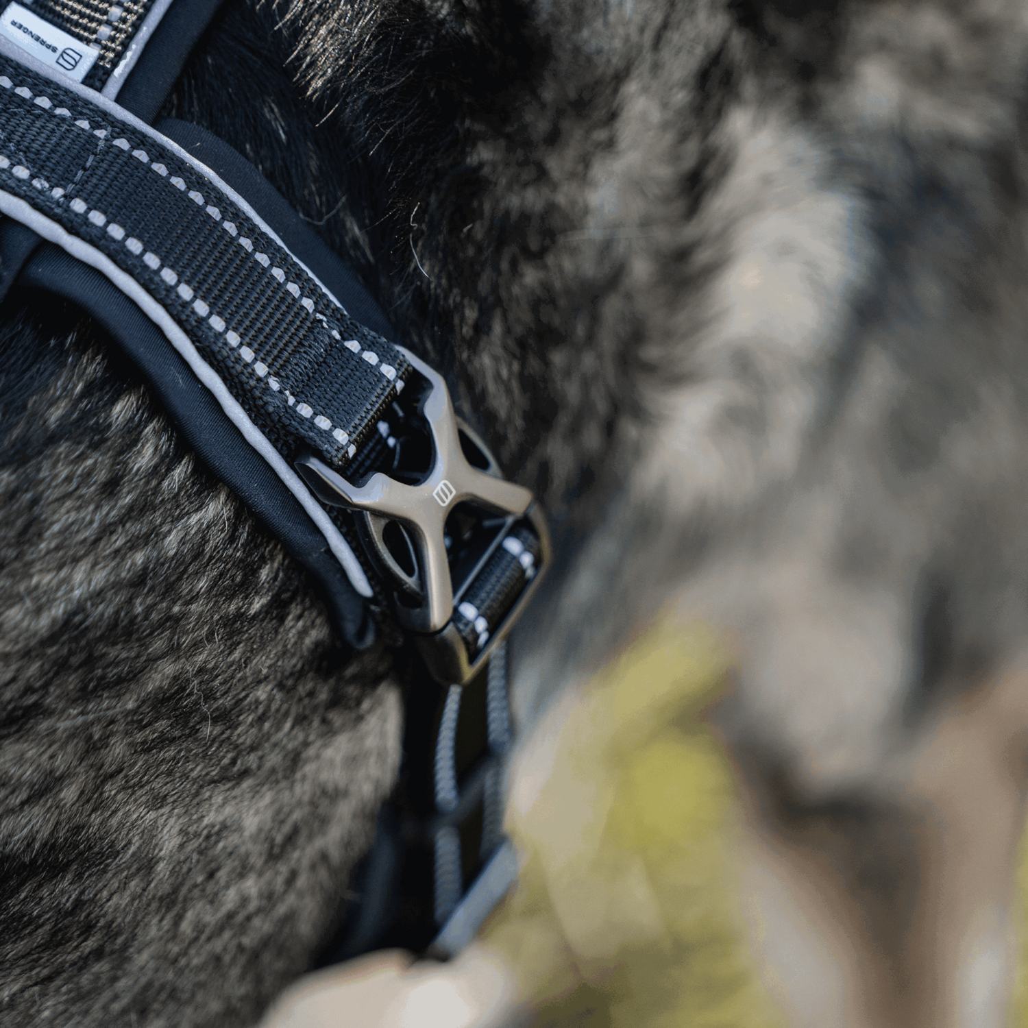 Hundegeschirr Y-Geschirr