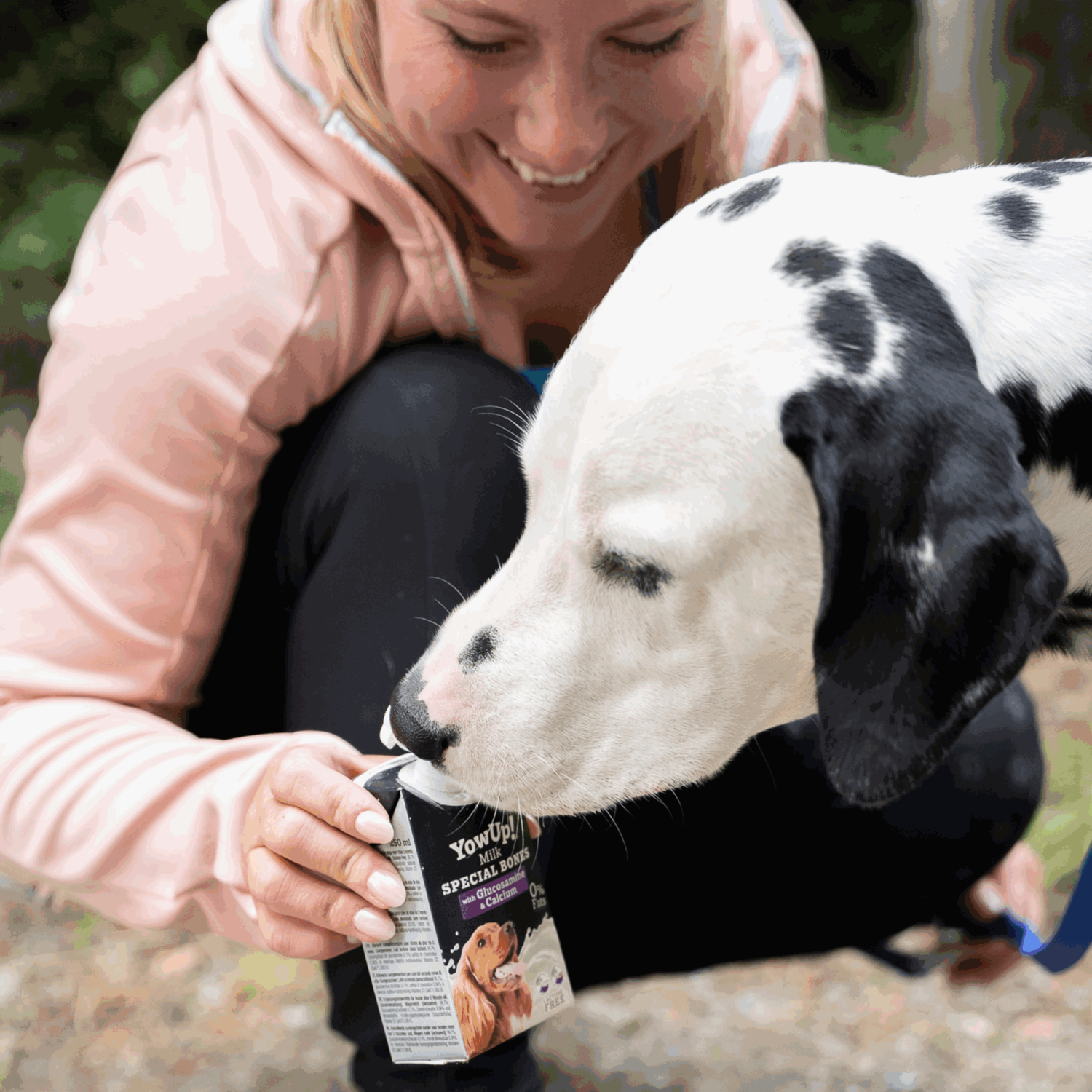 YowUp! Hunde-Milch SPECIAL BONES 250ml (Box 12 Stück)
