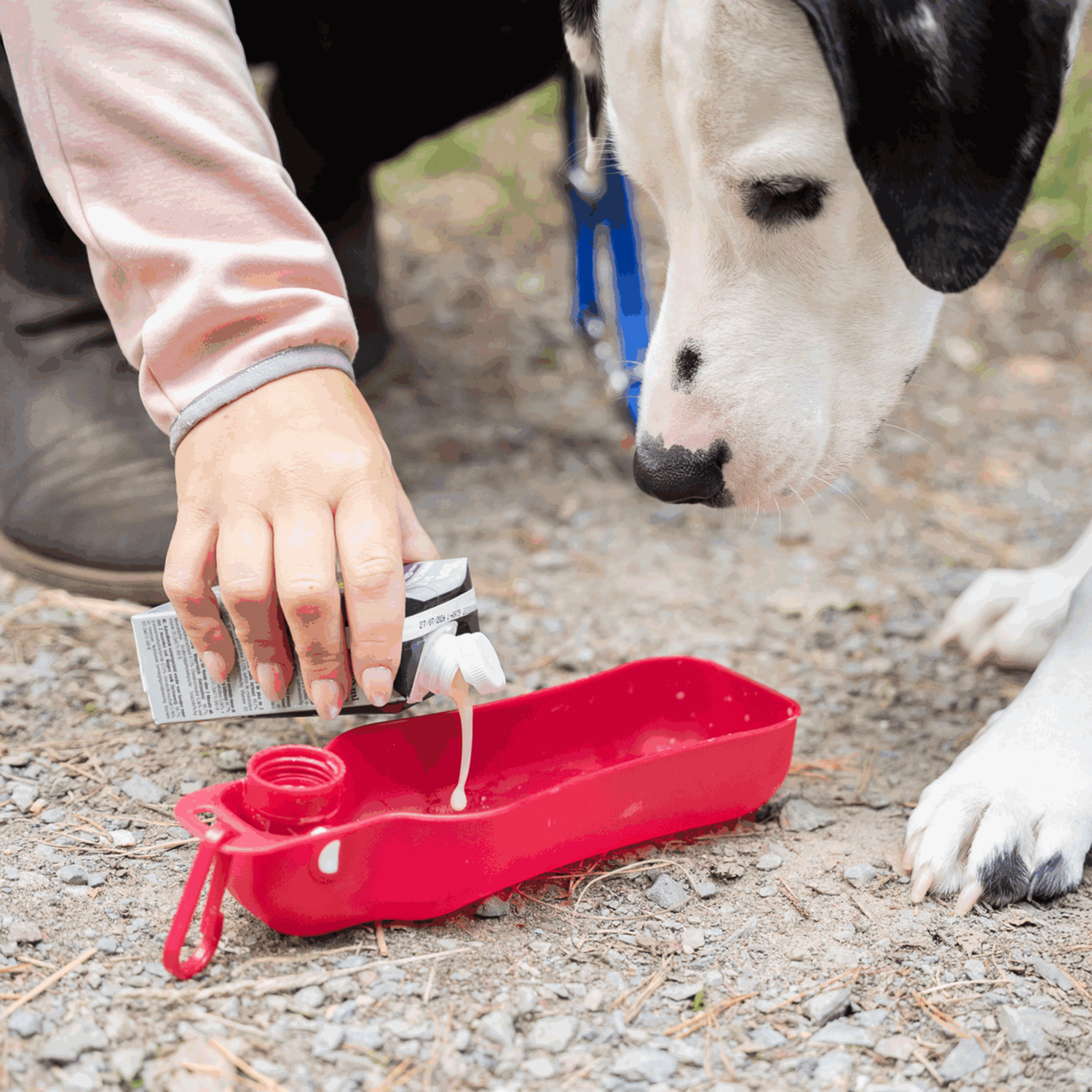 YowUp! Hunde-Milch SPECIAL BONES 250ml (Box 12 Stück)