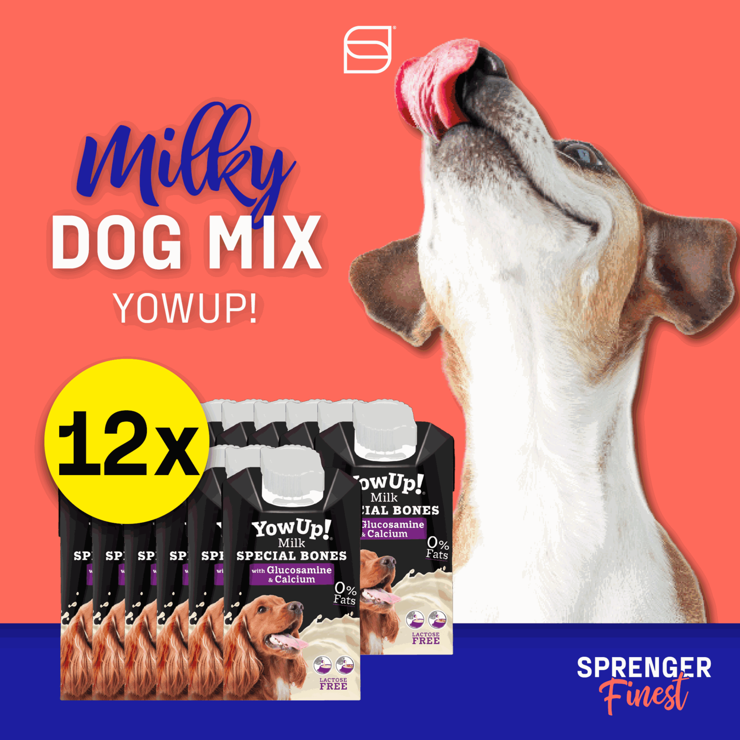 YowUp! Hunde-Milch SPECIAL BONES 250ml (Box 12 Stück)