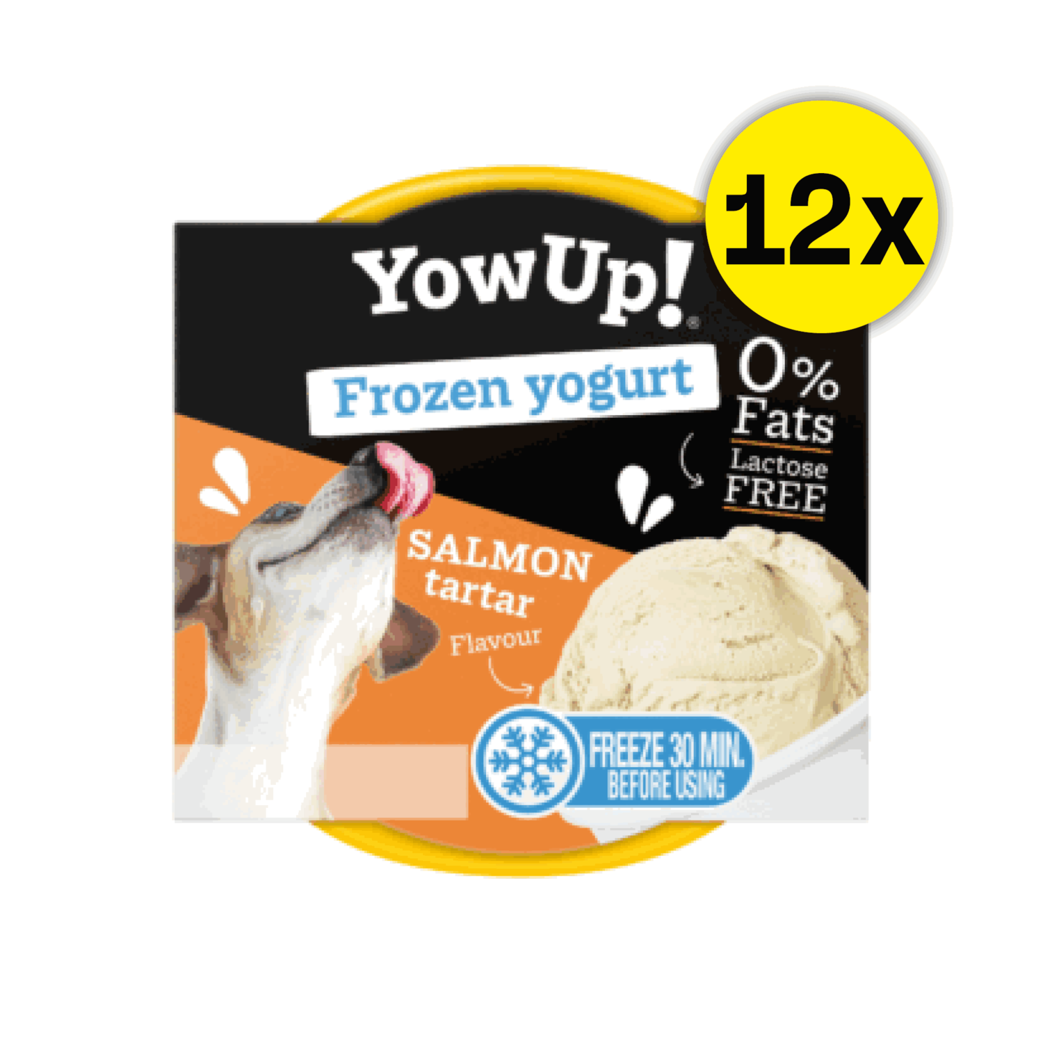 YowUp! Hunde-Frozen Yogurt 110g (Box 12 Stück)