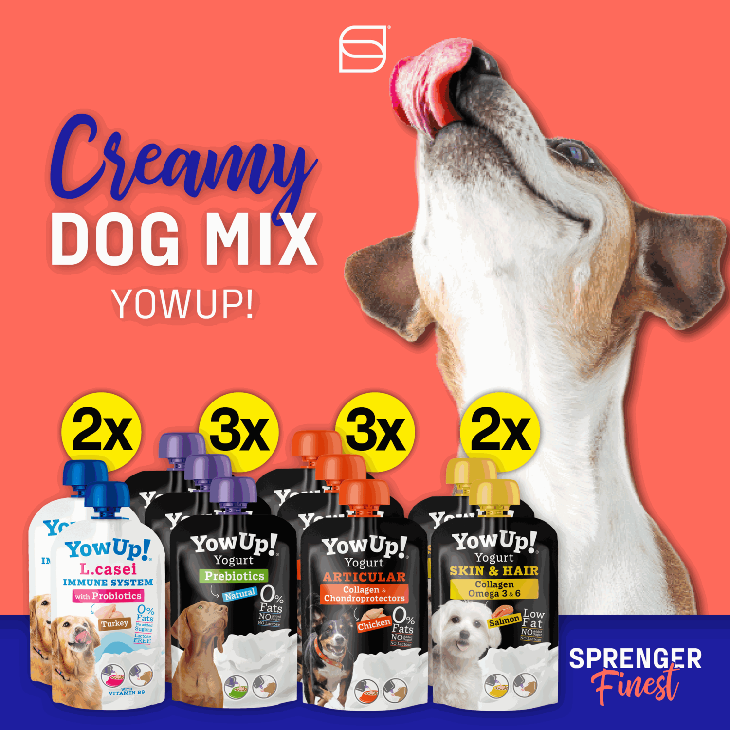 YowUp! Hunde-Joghurt 115g (Box 10 Stück)